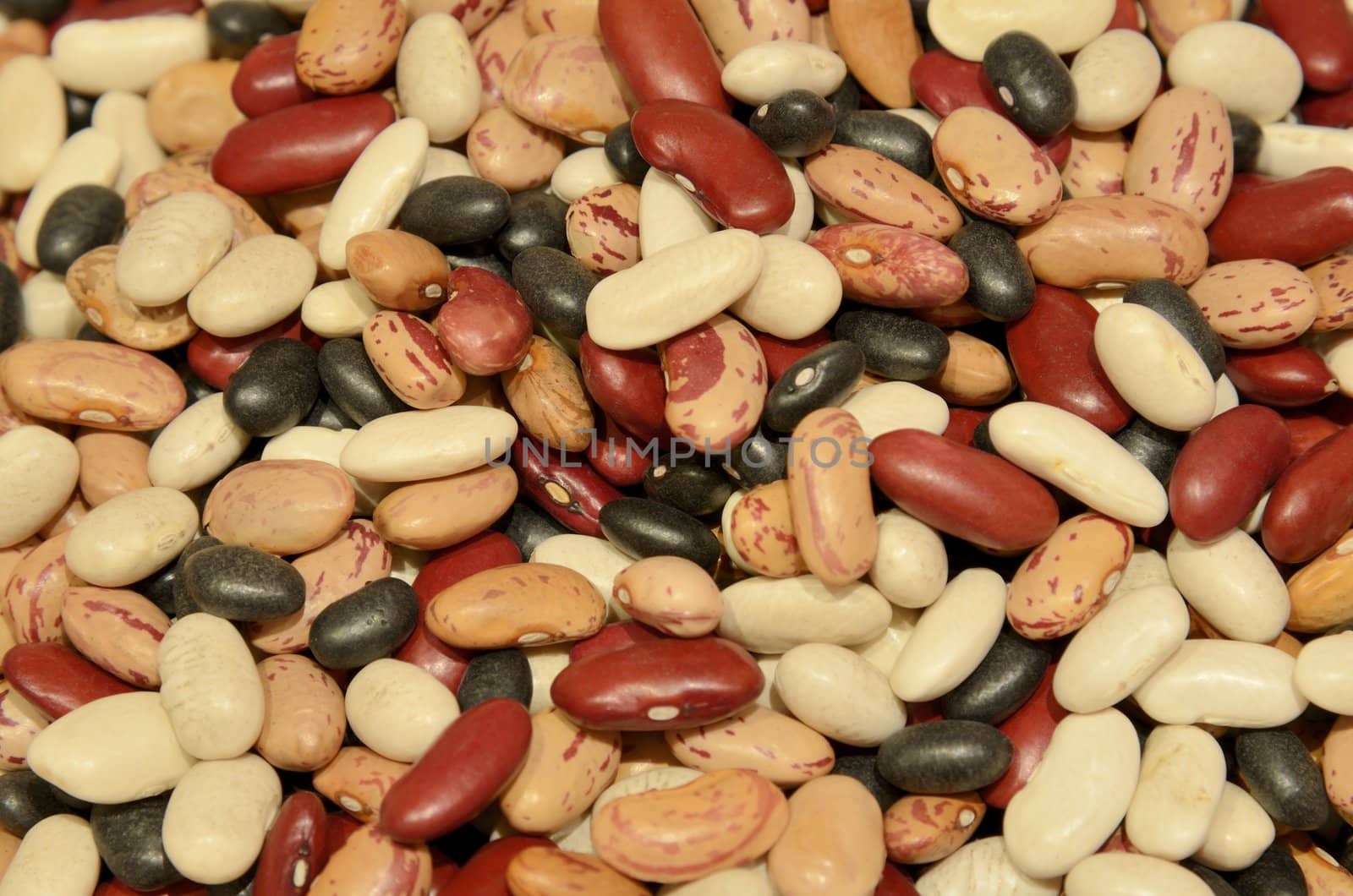 Mixed dry beans by mizio1970