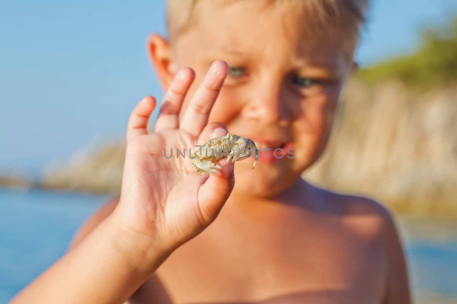 Adorable boy holding crab on hand on the beach. Focus on the crab.
