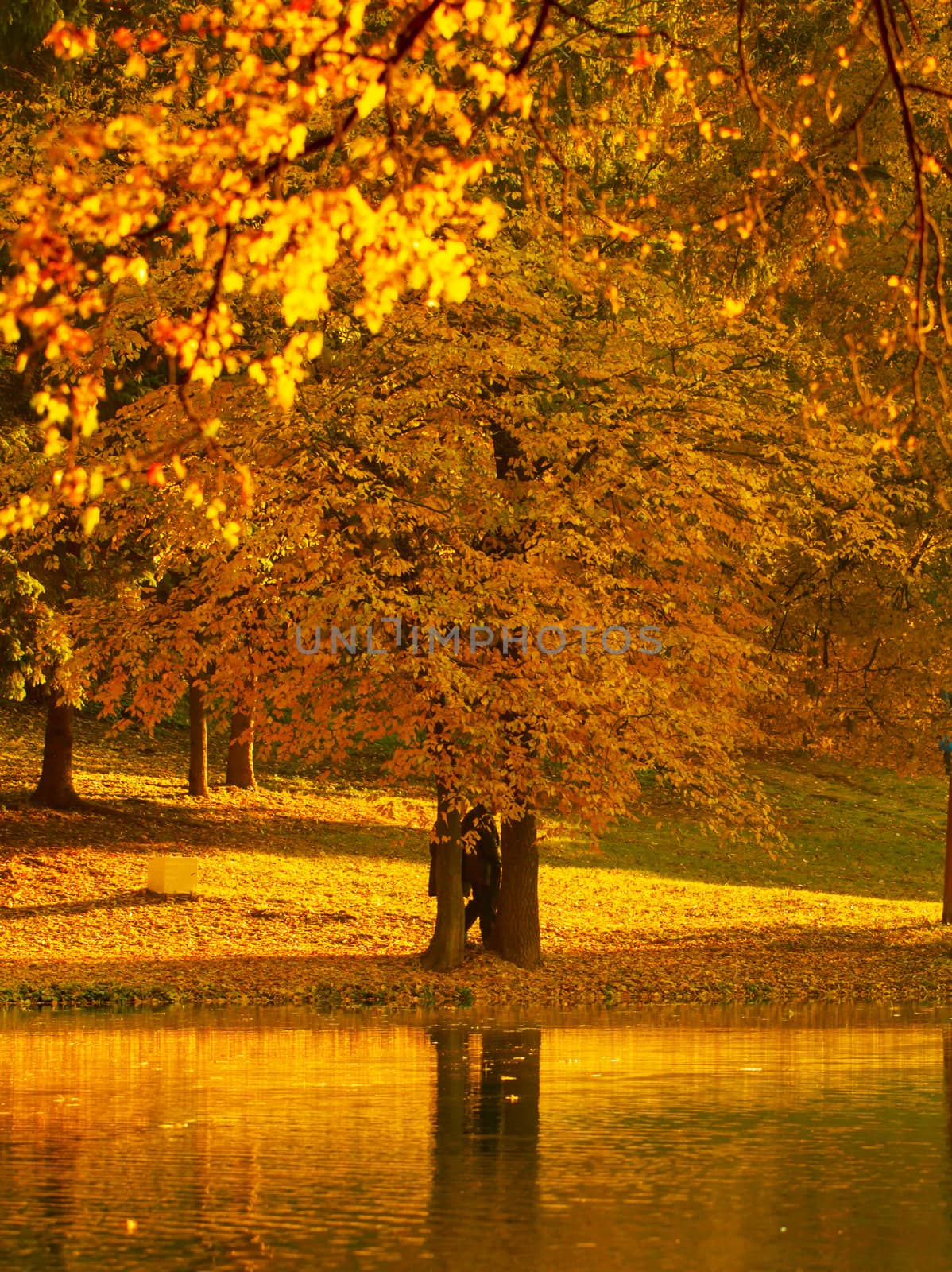 Beautiful colors of autumn landscape by the lake