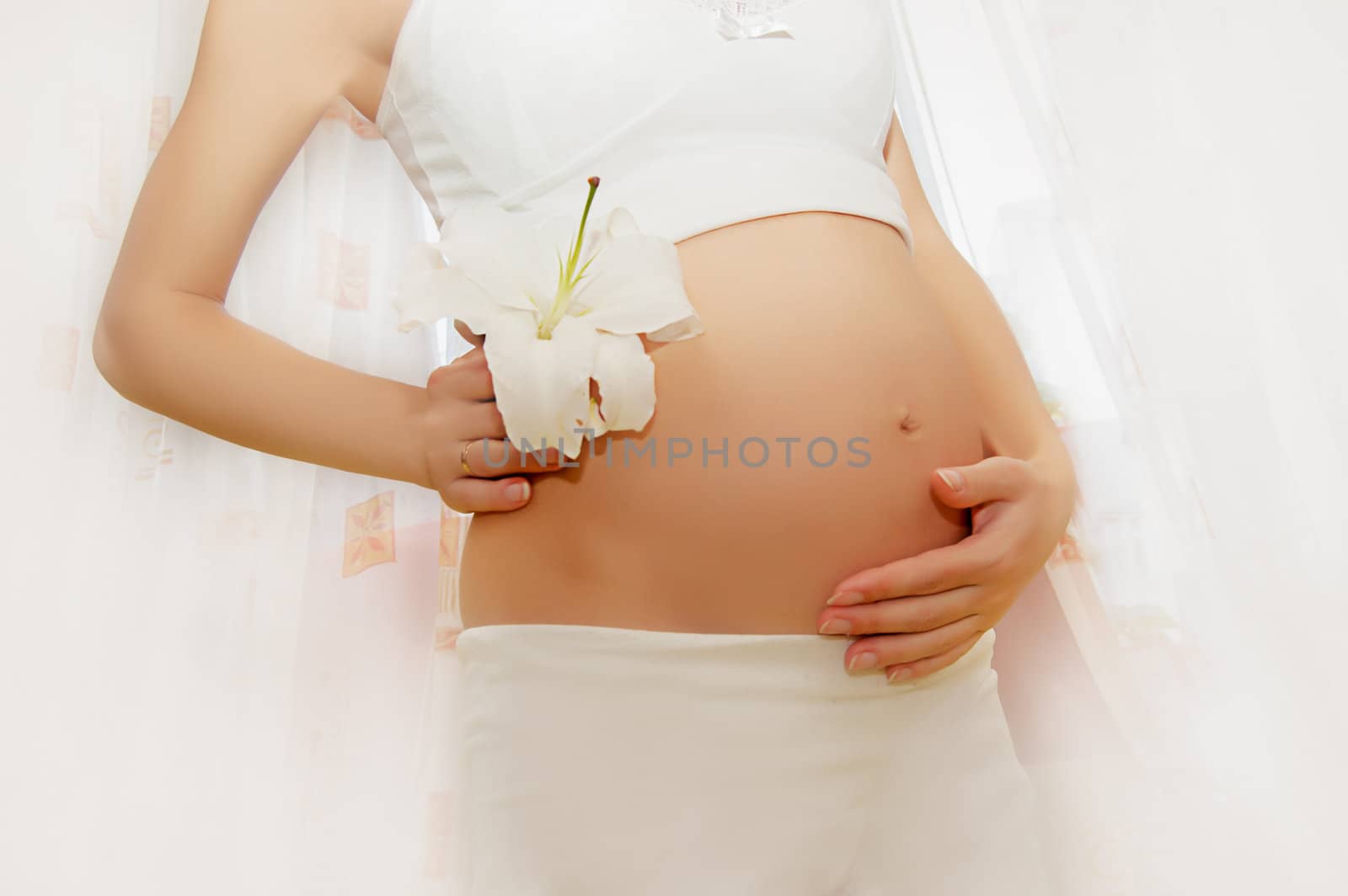 Pregnant woman belly with white flower in light tones