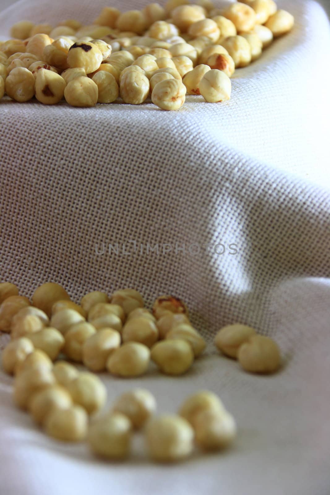 light bown fresh hazelnuts in group on natural cloth 