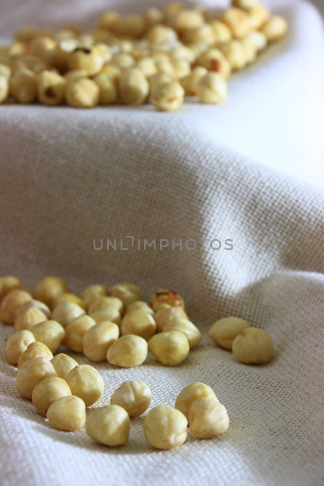 light bown fresh hazelnuts in group on natural cloth 