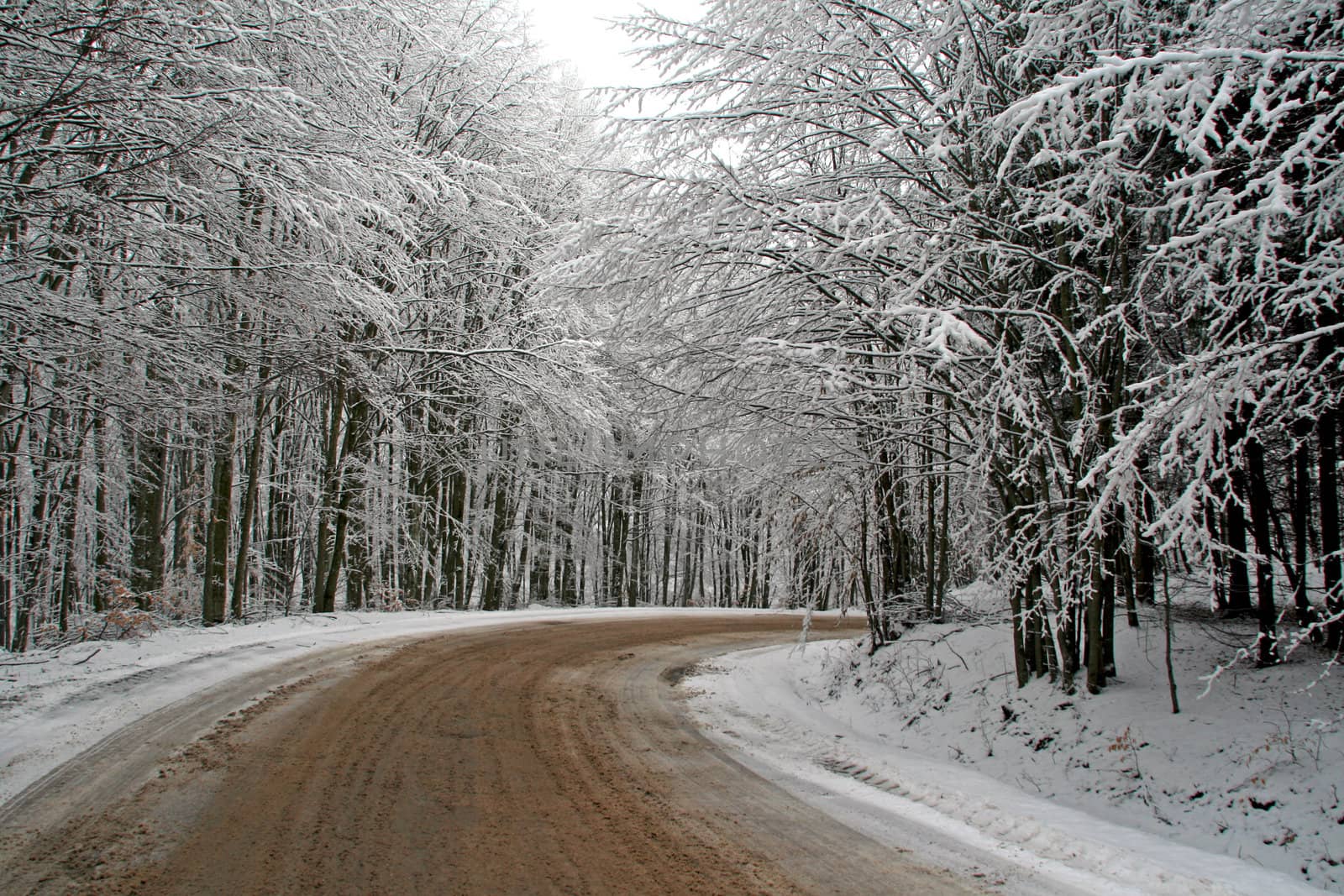 Winter road in the forest by renegadewanderer