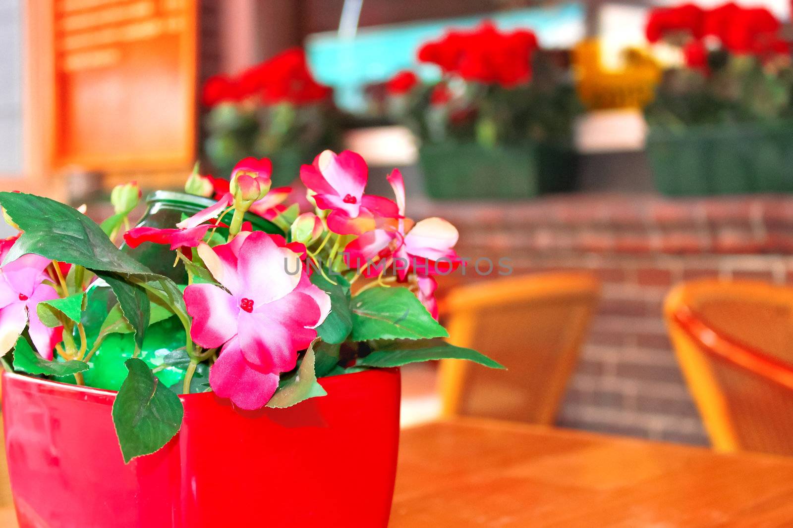 Flowers on the table in a cafe by NickNick