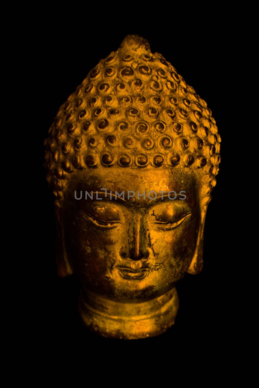 Buddha portrait on a dark background