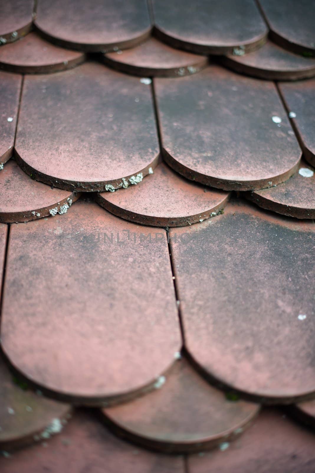 Detail of old house weathered red roof tiles