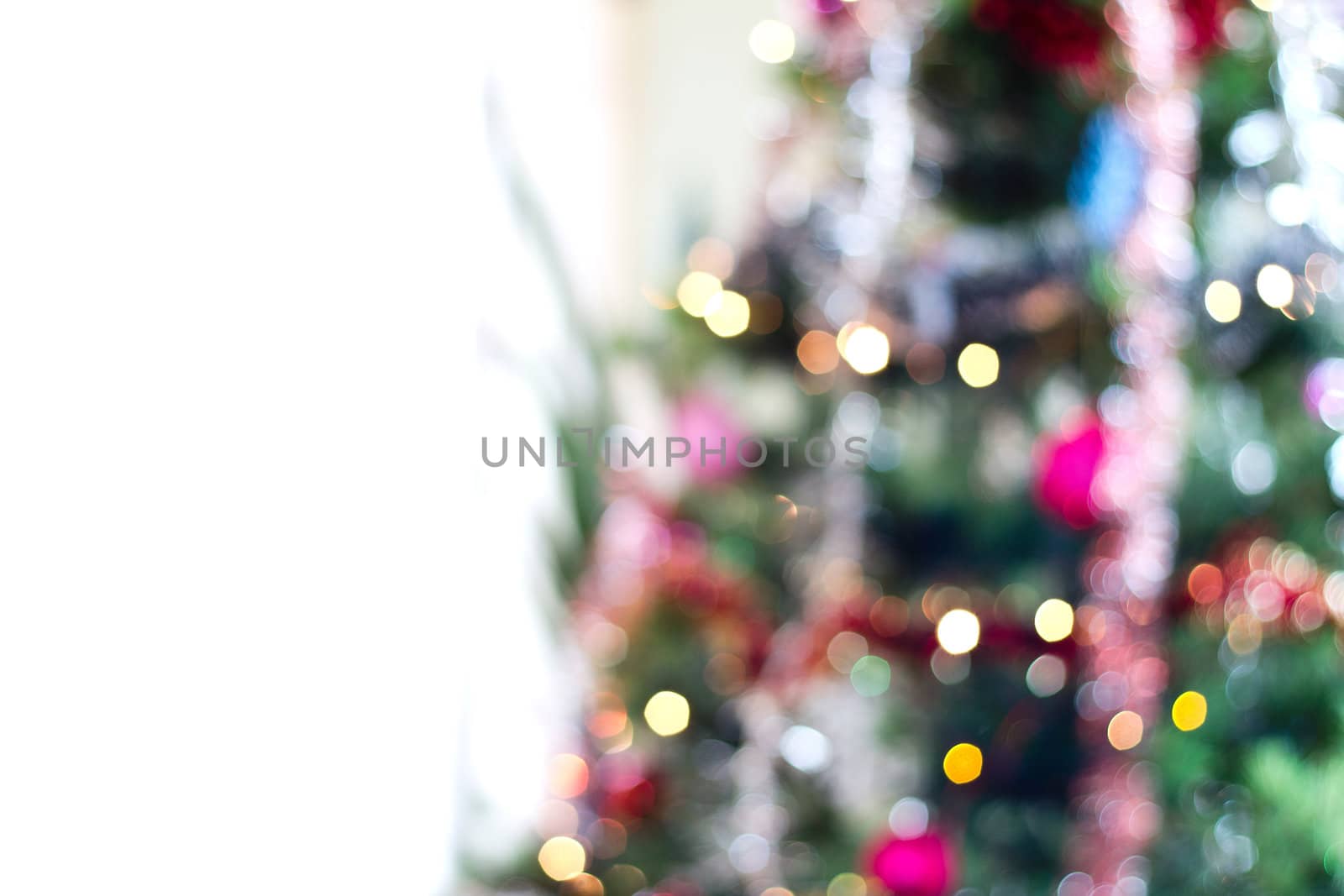 Christmas tree in a background blurred colours
