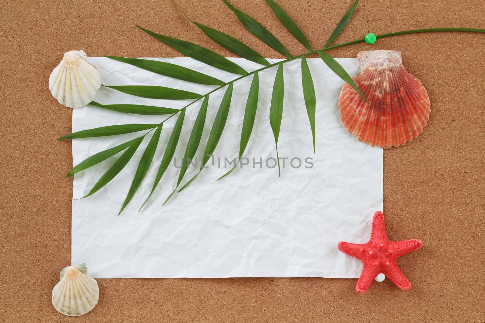 cocrboard with palm leave, crumpled paper and seashell for vacation message