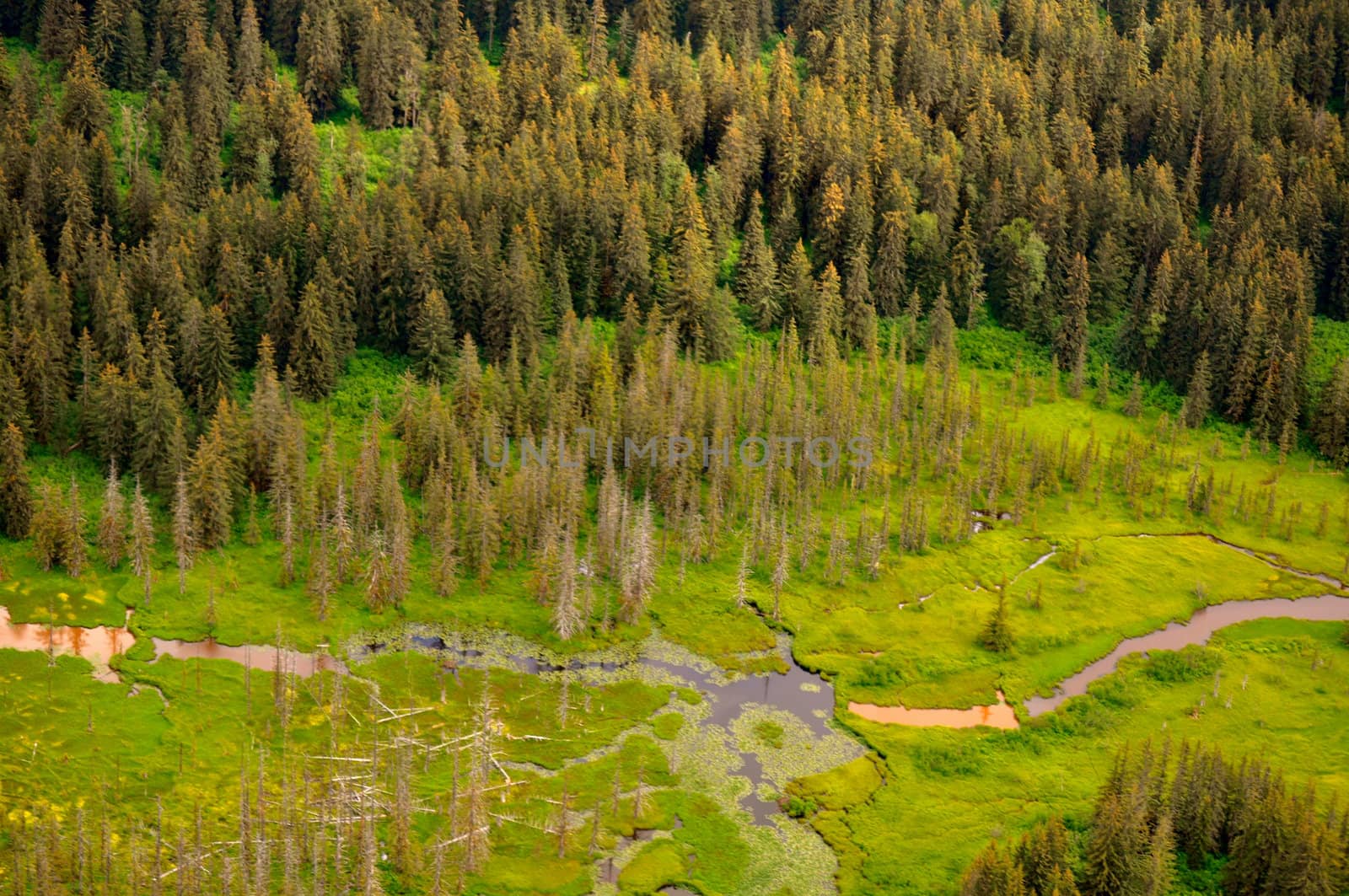 Juneau Alaska Aerial View by RefocusPhoto