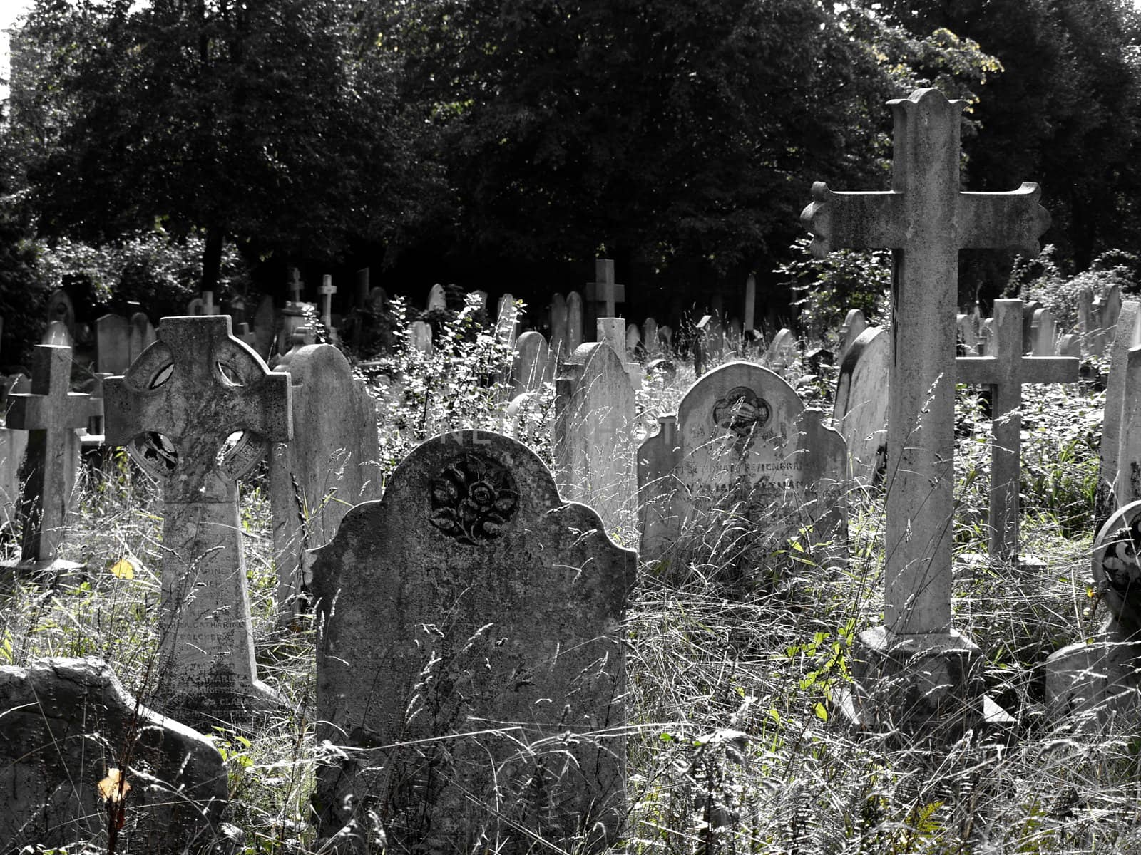 Abandonded cemetery by anderm