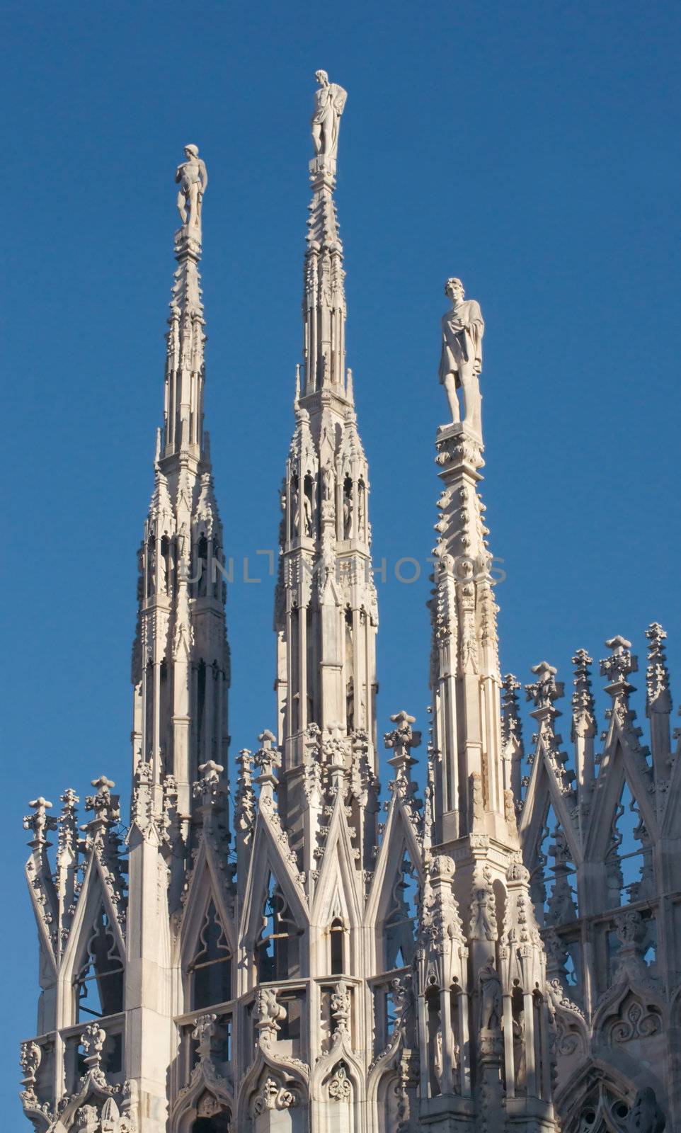 Statues of the Duomo in Milan on a winter evening