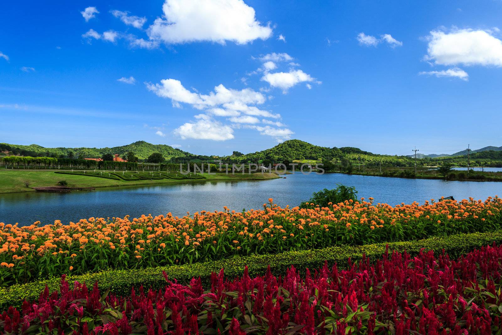 Lake with Colorful Garden And Blue Sky at Pattaya, Thailand.