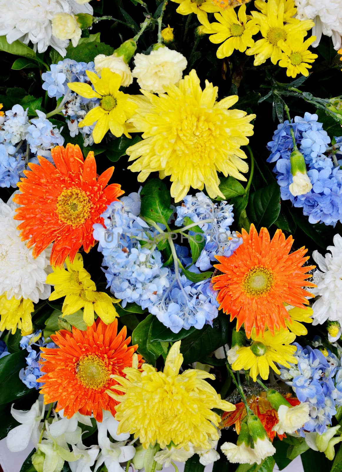 Nice flower bouquet close up 