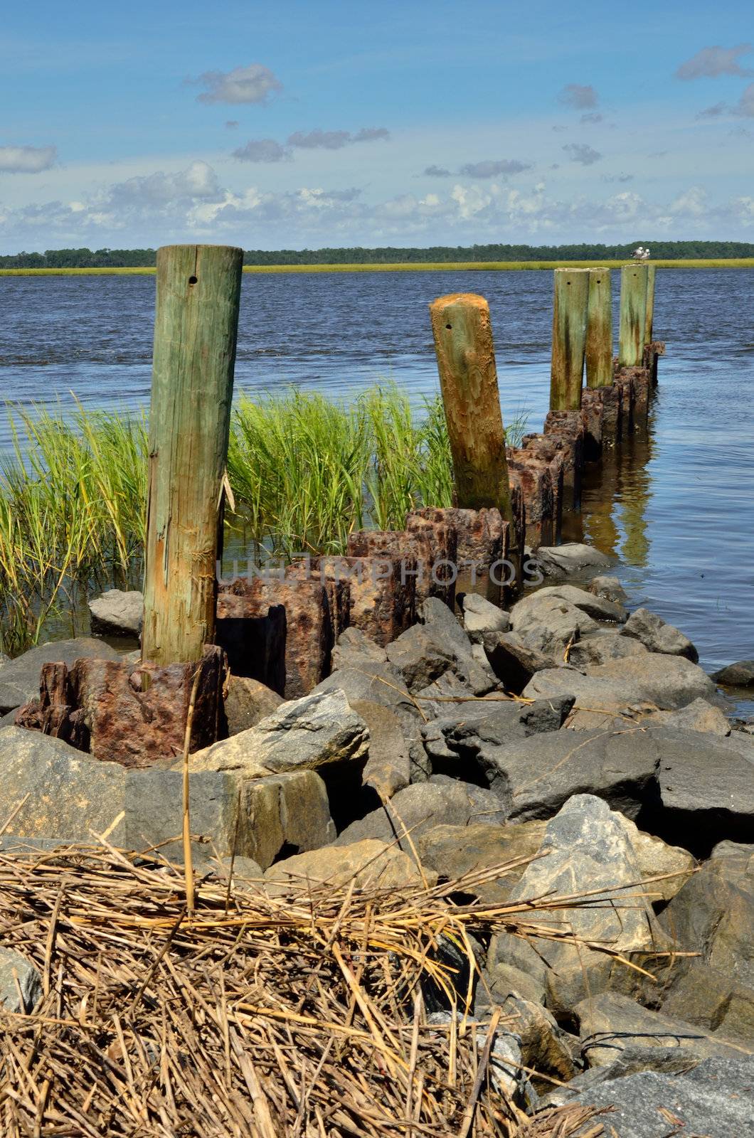 A summer's day at Crooked River State Park's boat launch area