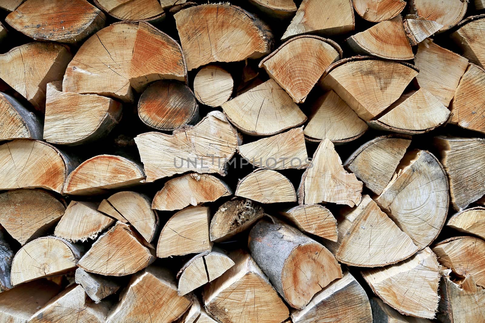 Detail of a woodpile by renegadewanderer