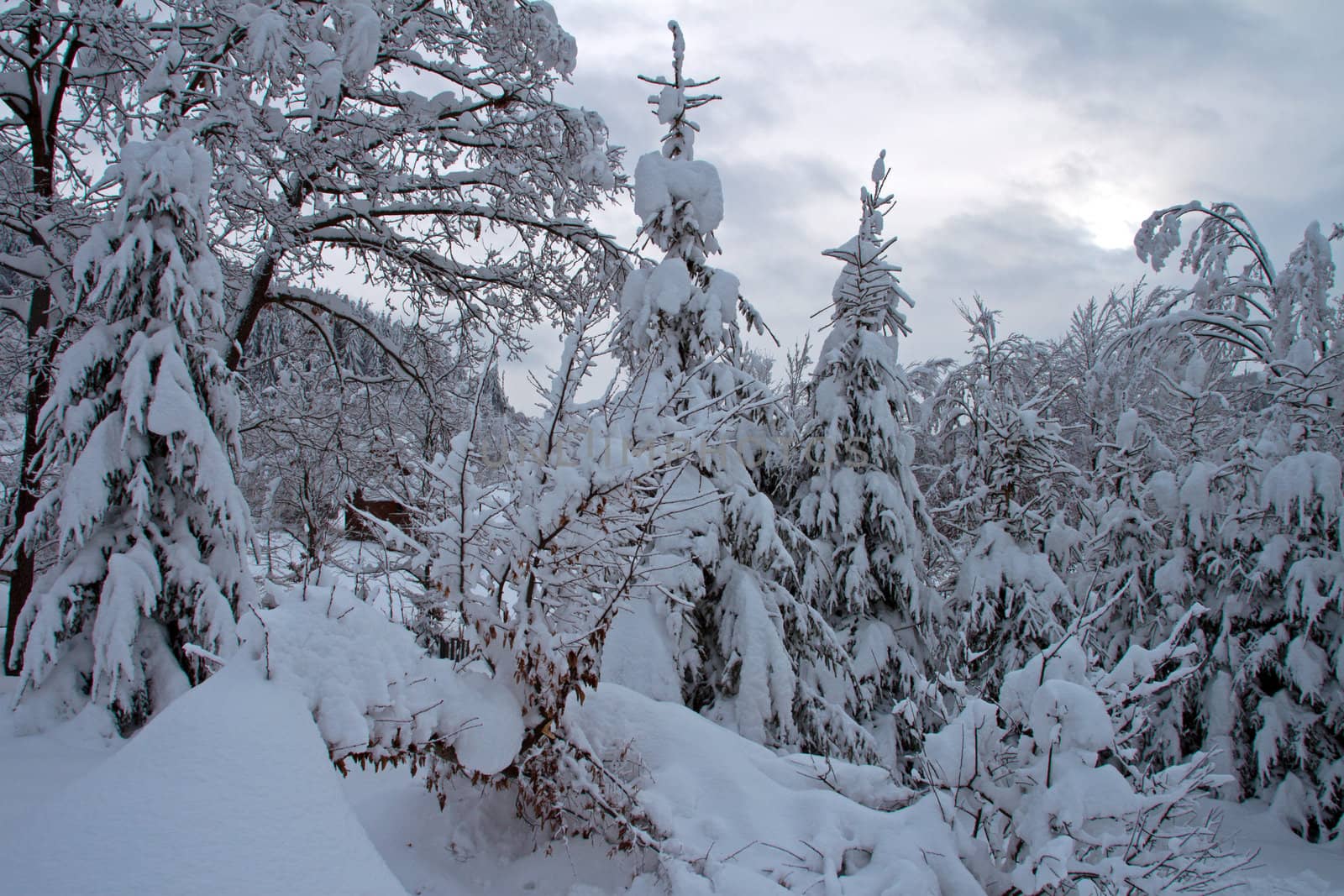 A landscape in winter by renegadewanderer