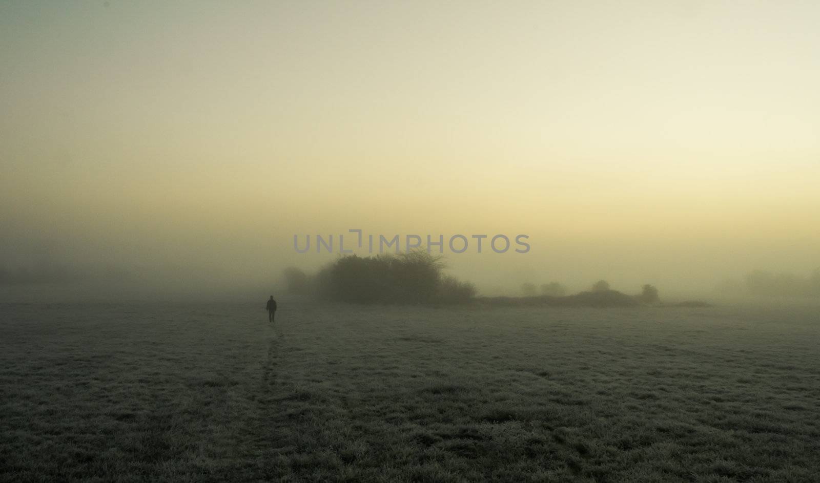 Silhouette of man walking alone in the fog on a green frosty field at dawn