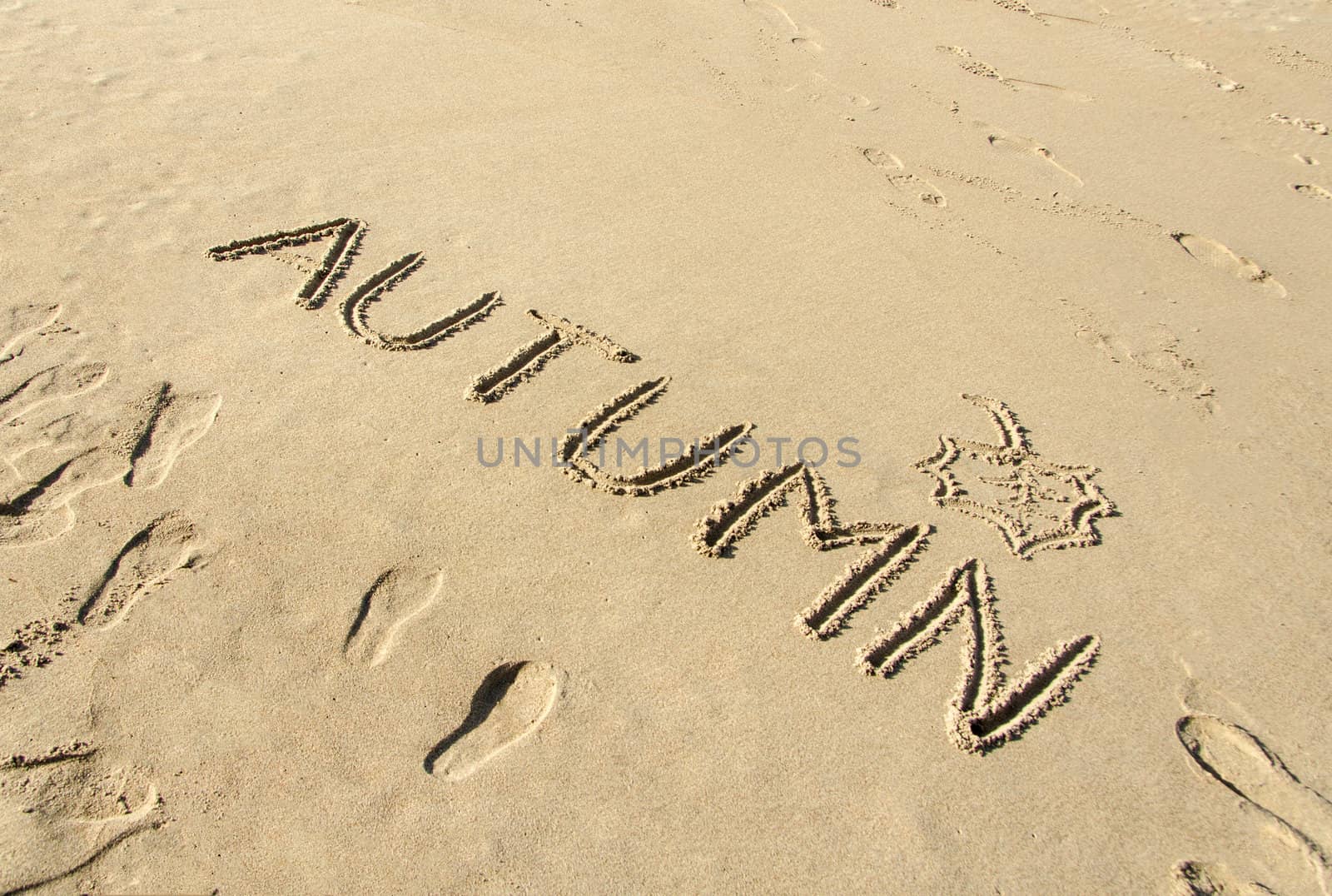 Word autumn handwritten and leaf drawn on beach sand background