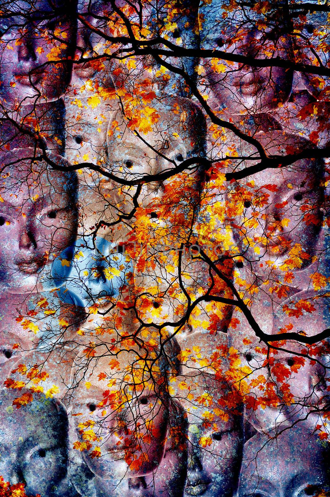 Collage of faces behind autumn colored tree.