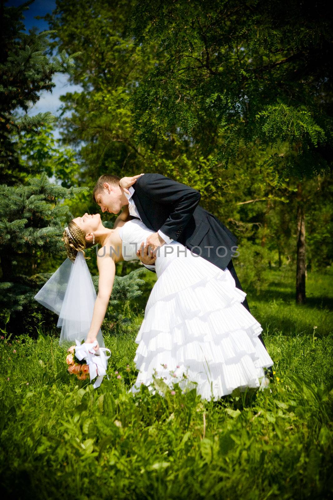 kiss of bride and groom by vsurkov