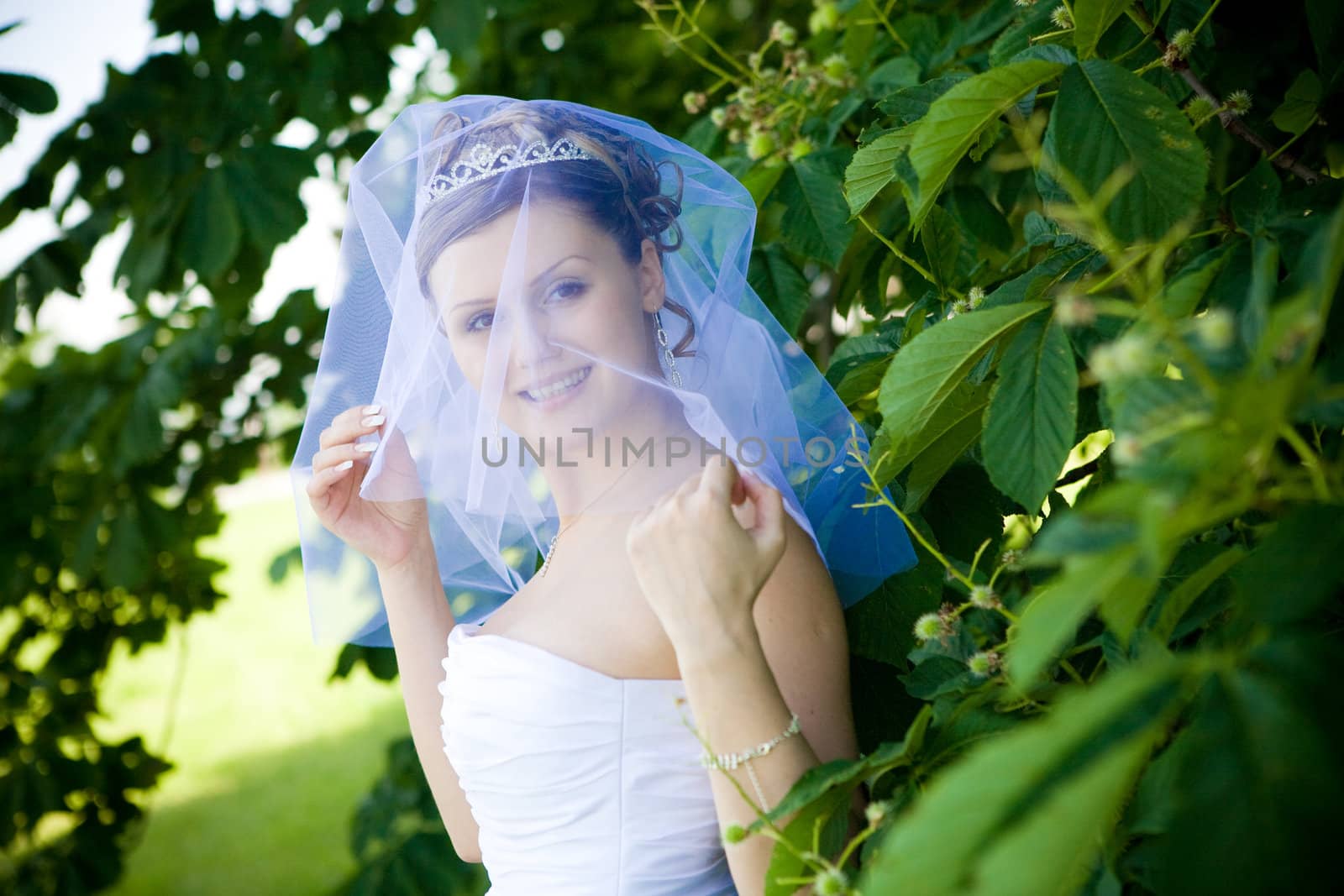 bride and a tree by vsurkov