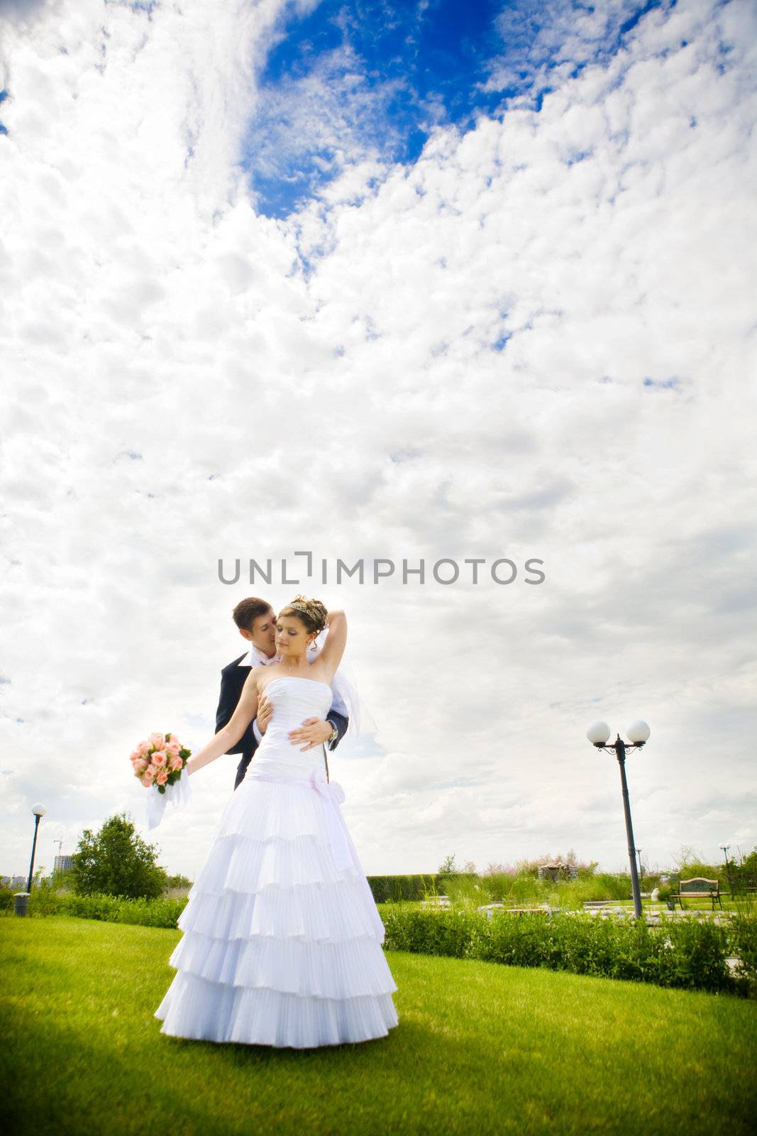 bride and groom kissing in the park