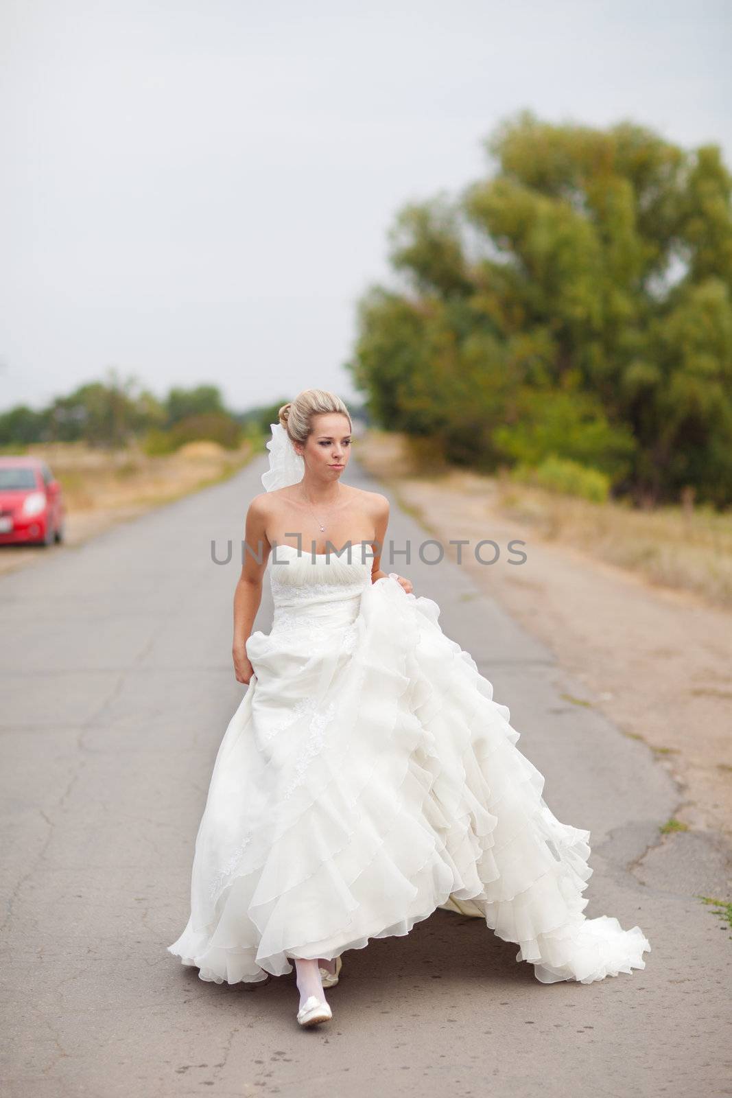 bride on the road by vsurkov