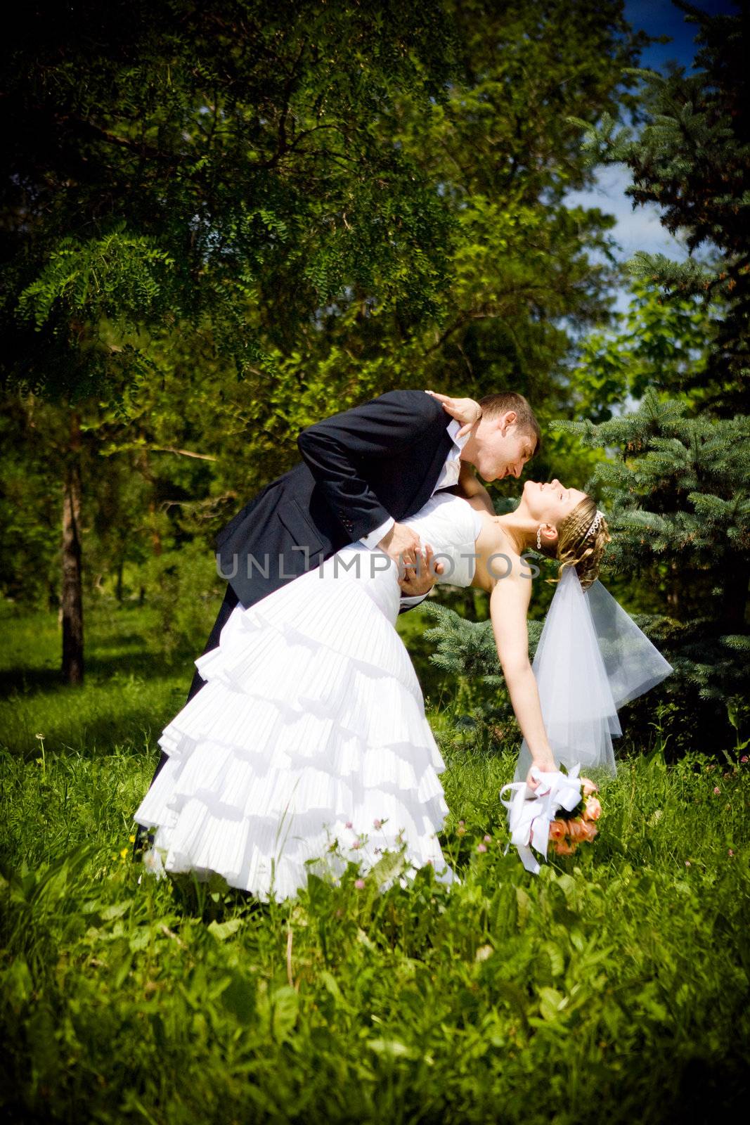 bride and groom kissing in the park