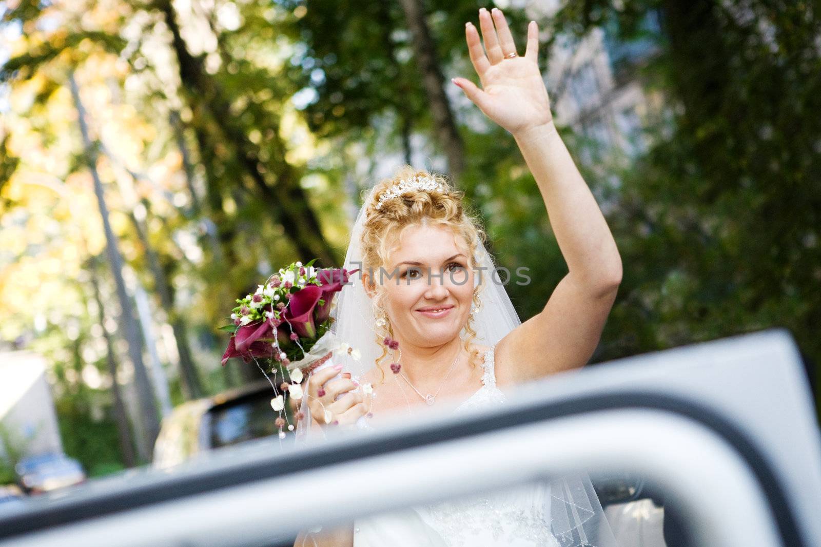 bride by the car