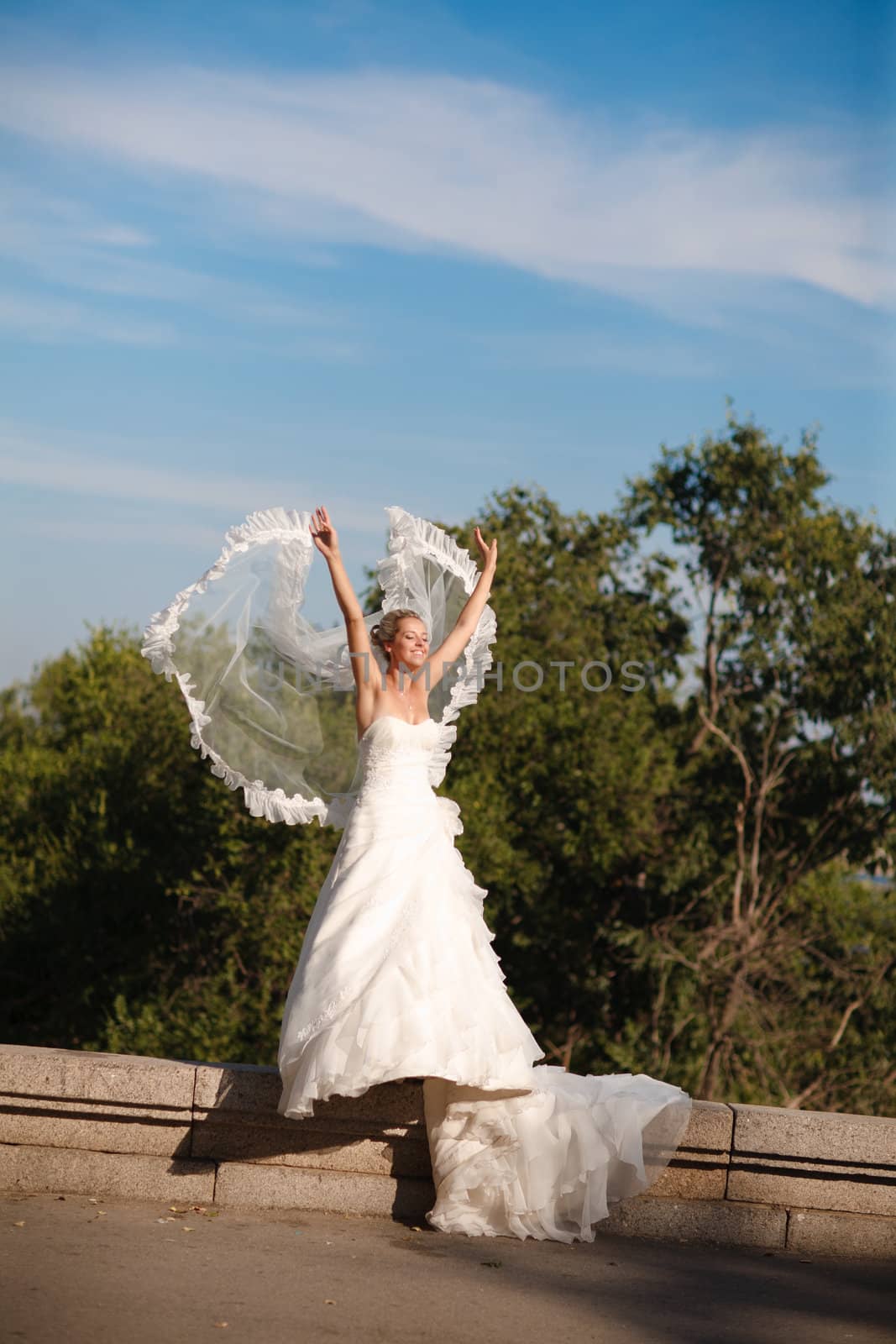 bride with veil in form of wings by vsurkov