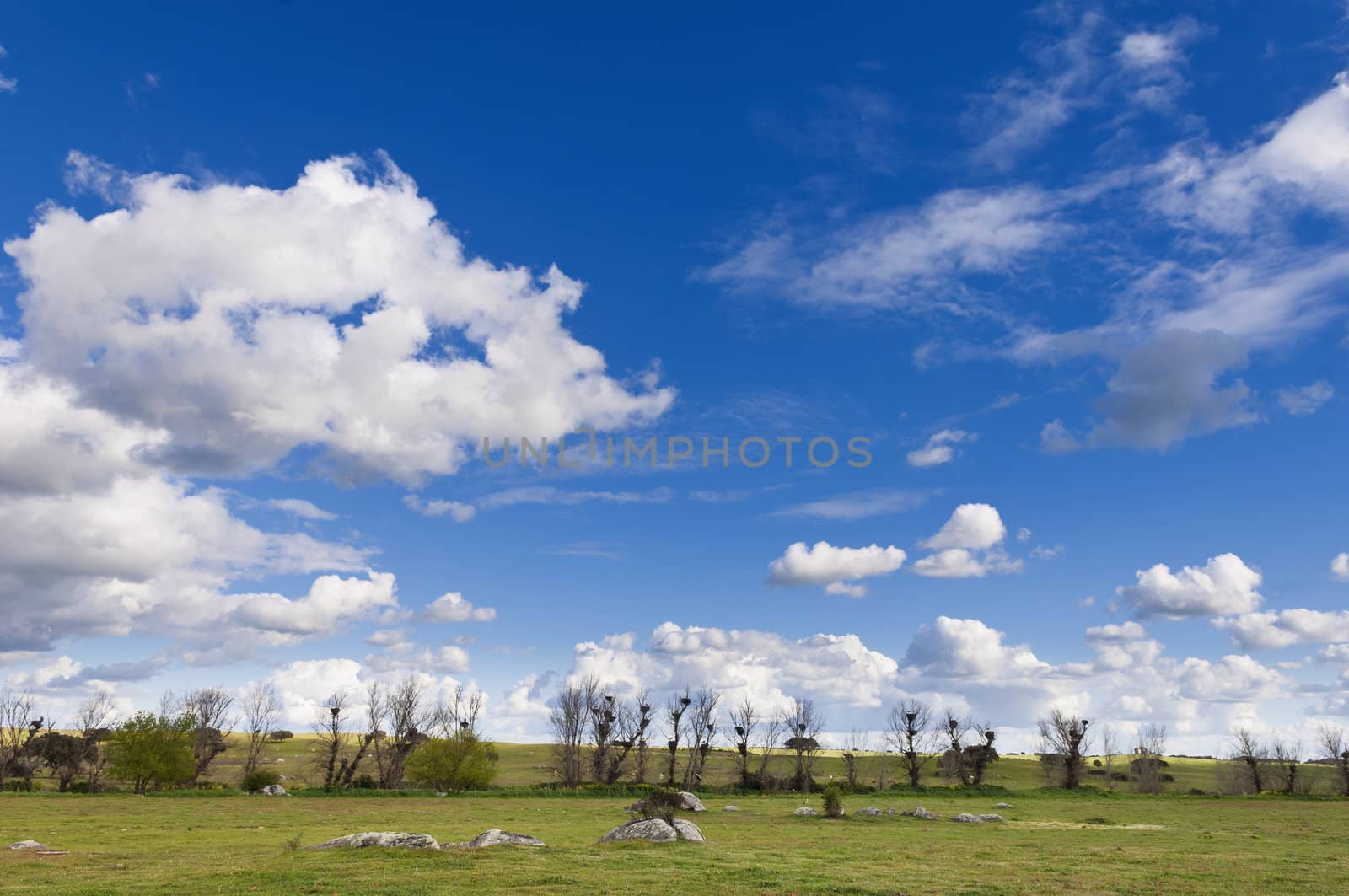 Vast plains of the Alentejo country in spring, Portugal