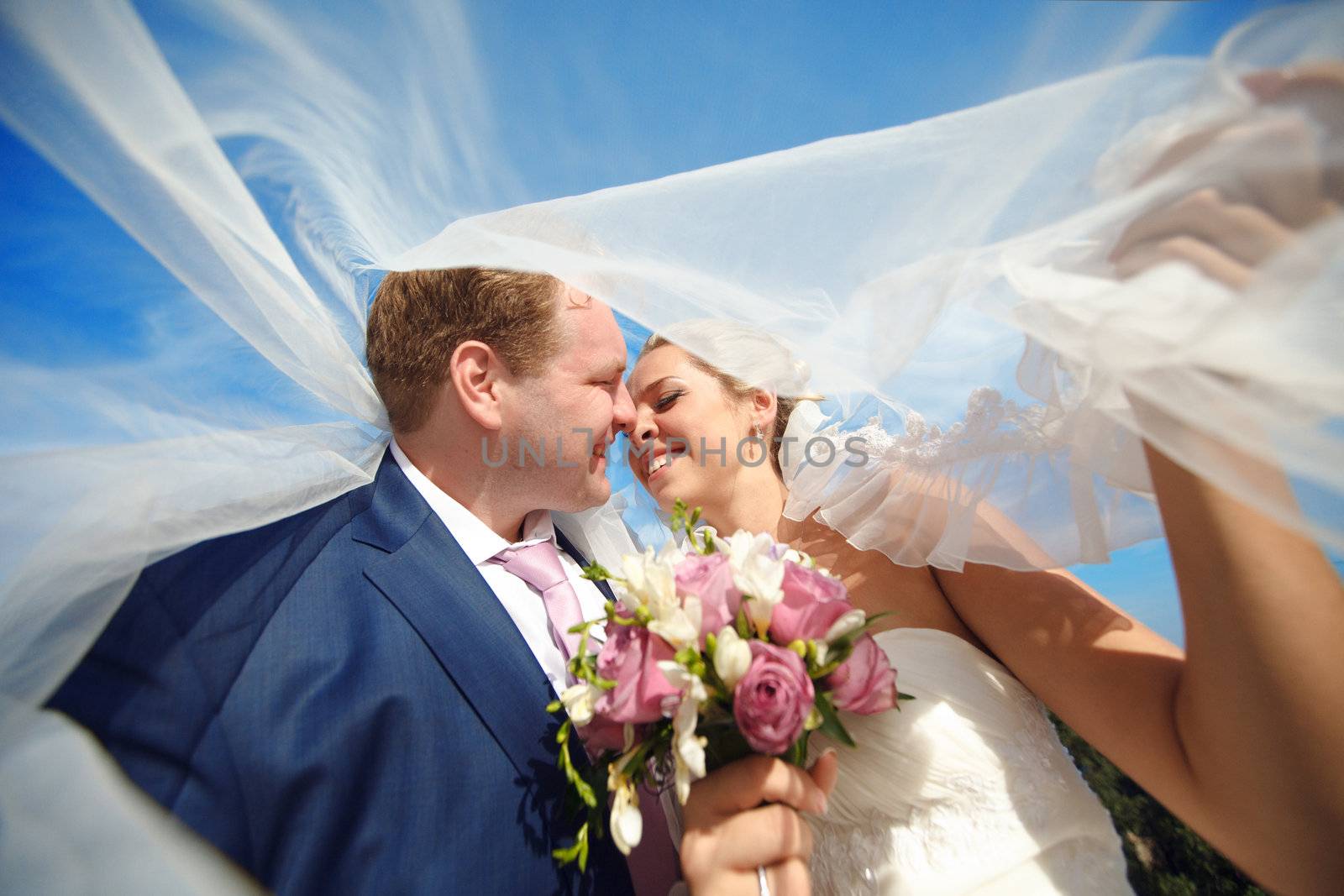 bride and groom under the veil