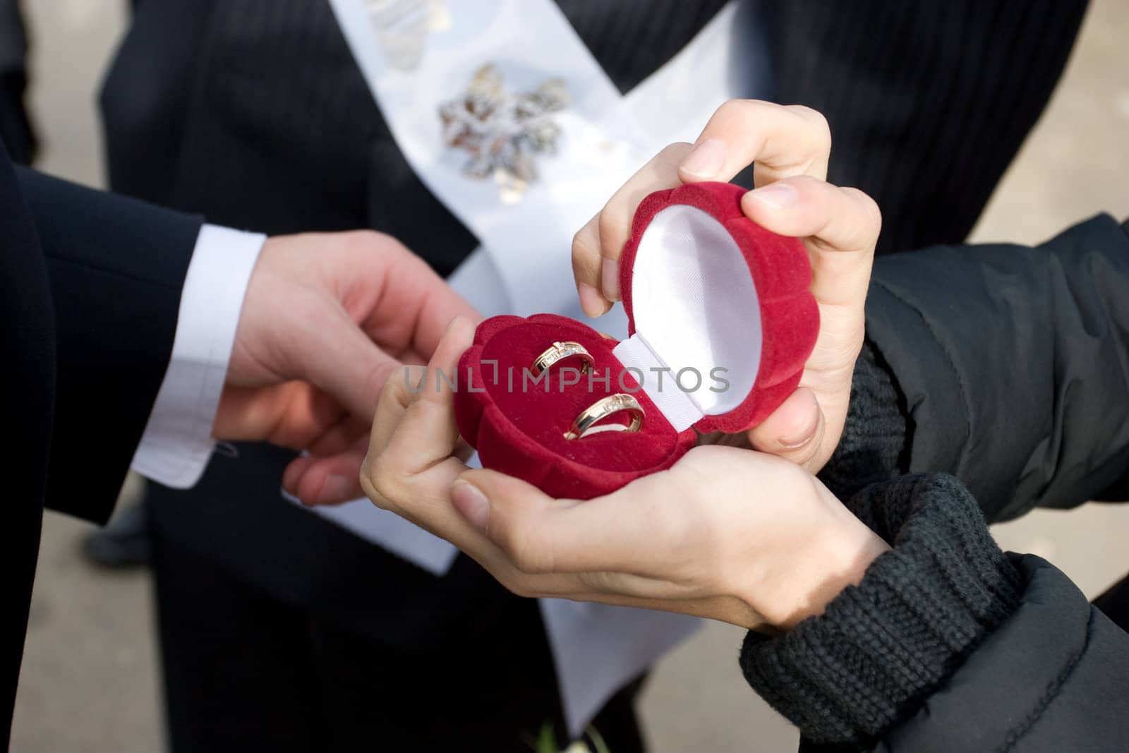 groom takes off wedding rings by vsurkov
