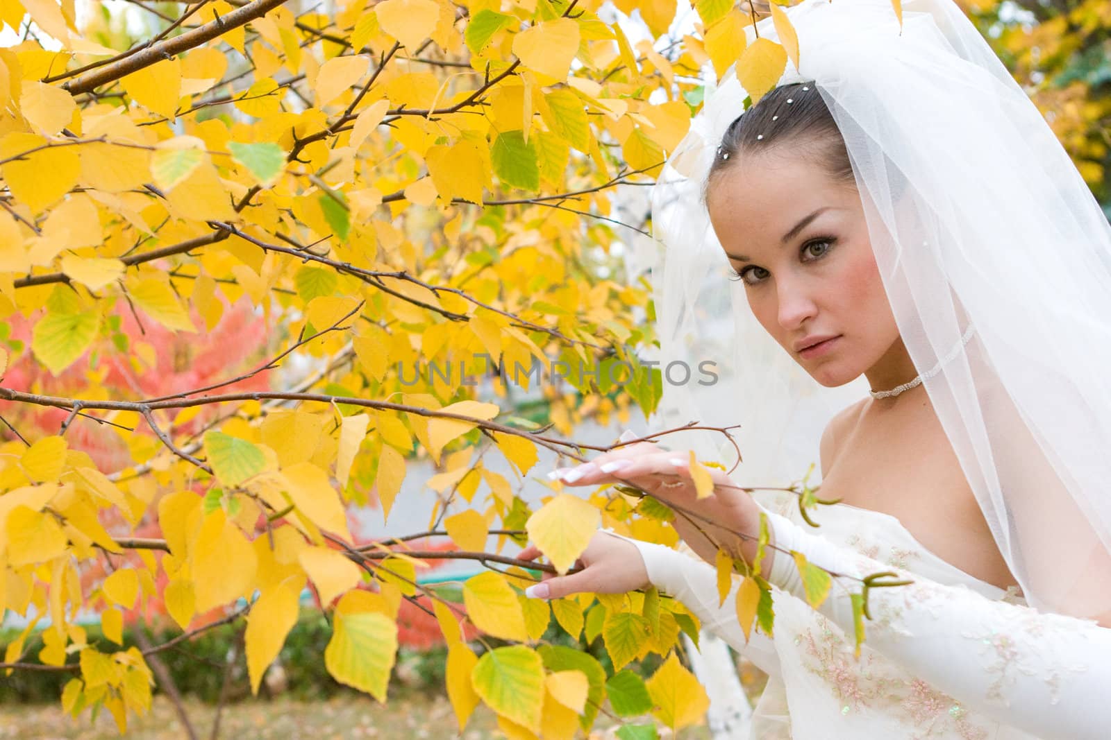 thinking bride by the yellow leaf of the tree