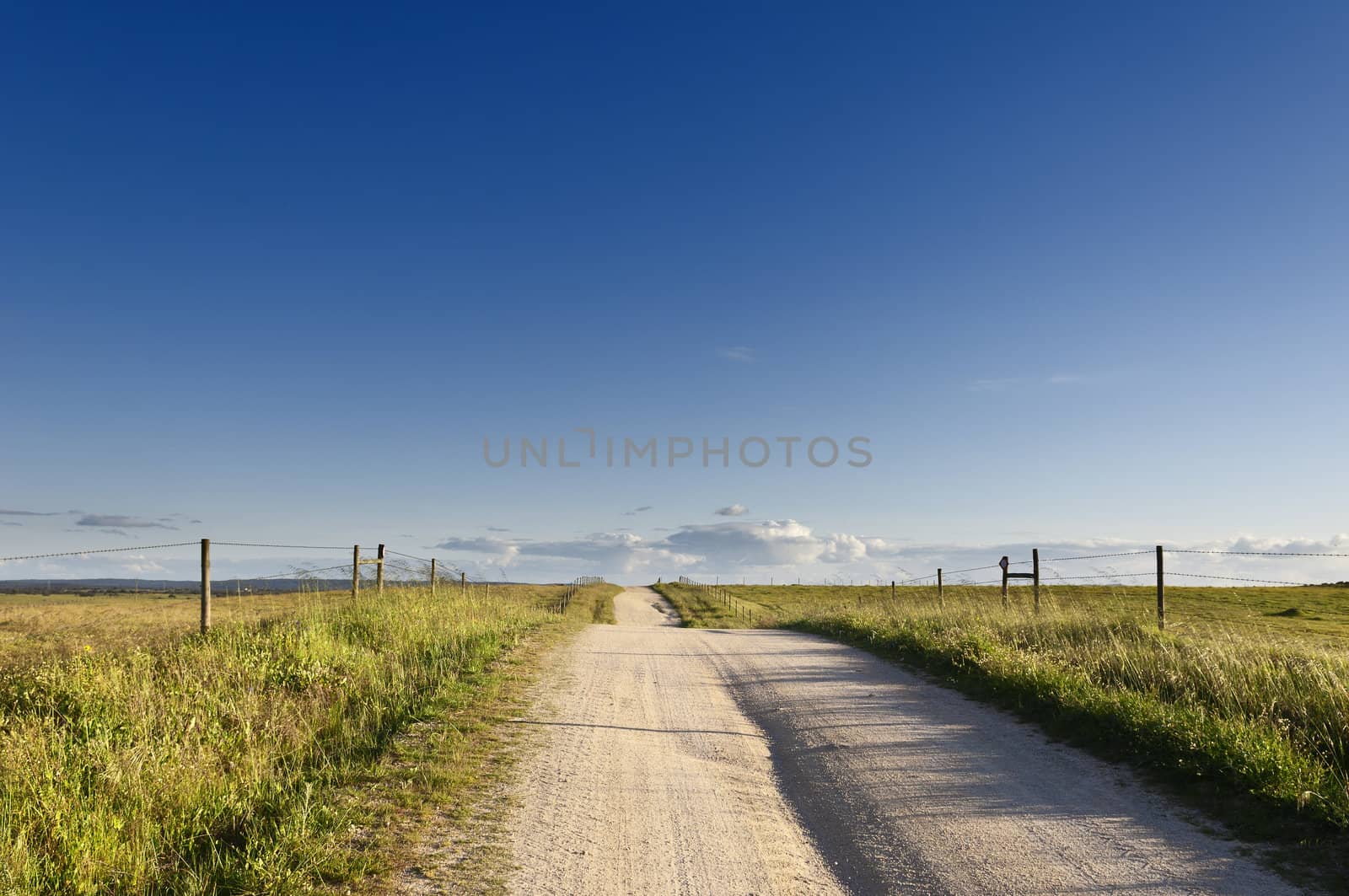 Deserted dirt road in the plain of Alentejo, Portugal
