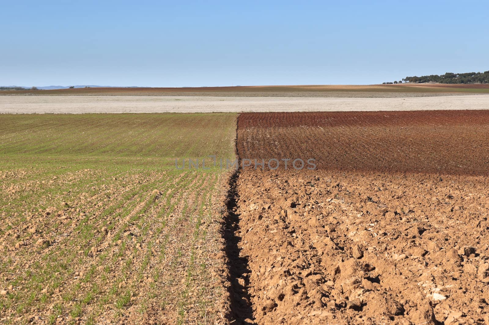  Ploughed fields in the vast plain of Alentejo, Portugal