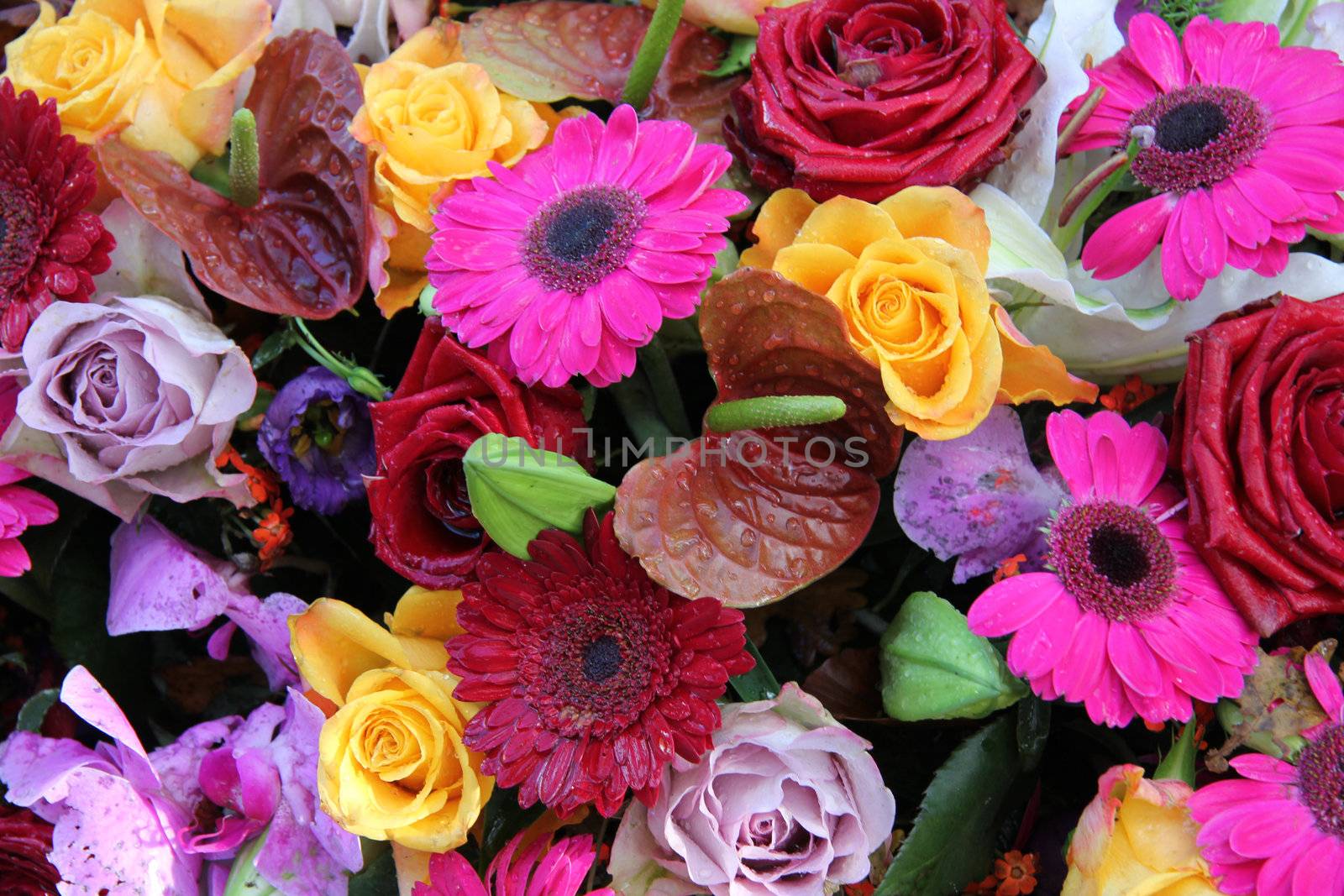 Mixed bouquet in bright colcors by studioportosabbia