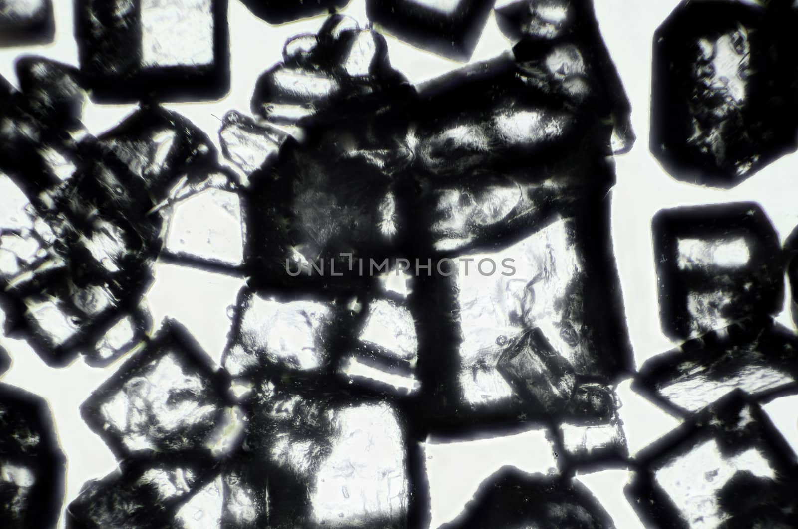 sugar crystals in microscope
