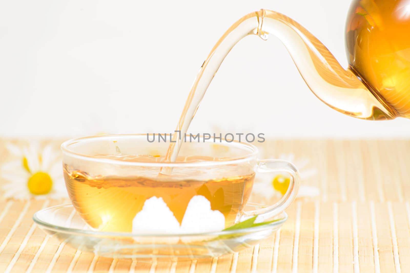 A teacup and a teapot with herbal chamomile tea