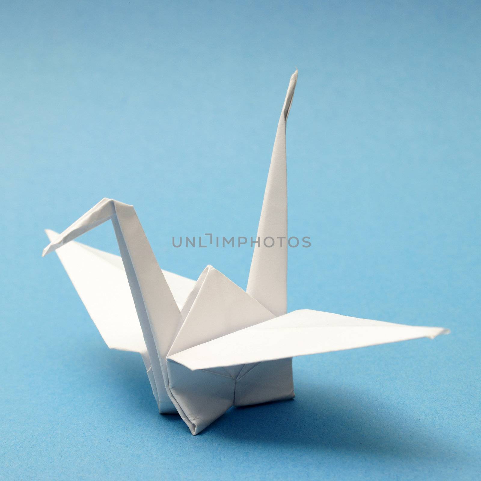A nicely folded origami swan over a blue tranquil background.