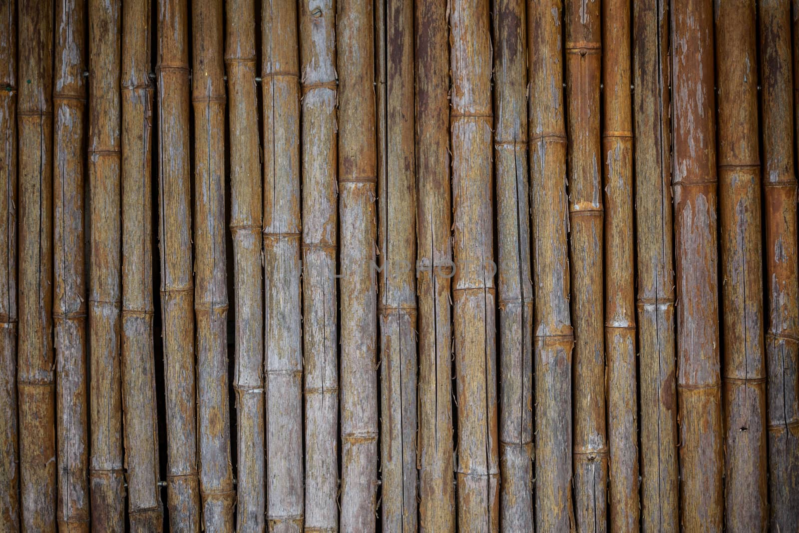 A close-up image of a bamboo wall texture backgroud. Check out other textures in my portfolio.