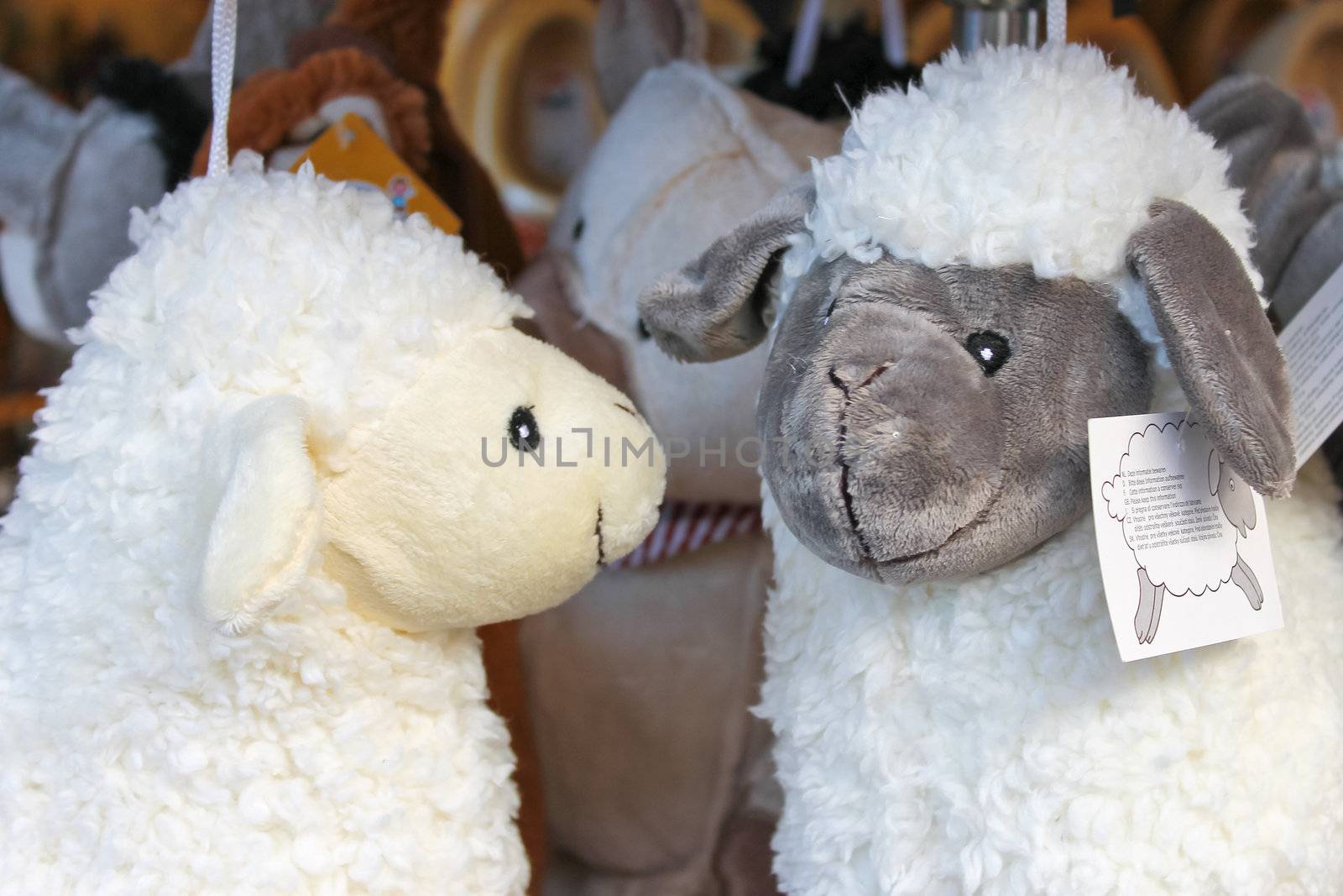 Soft toy sheep in the souvenir shop