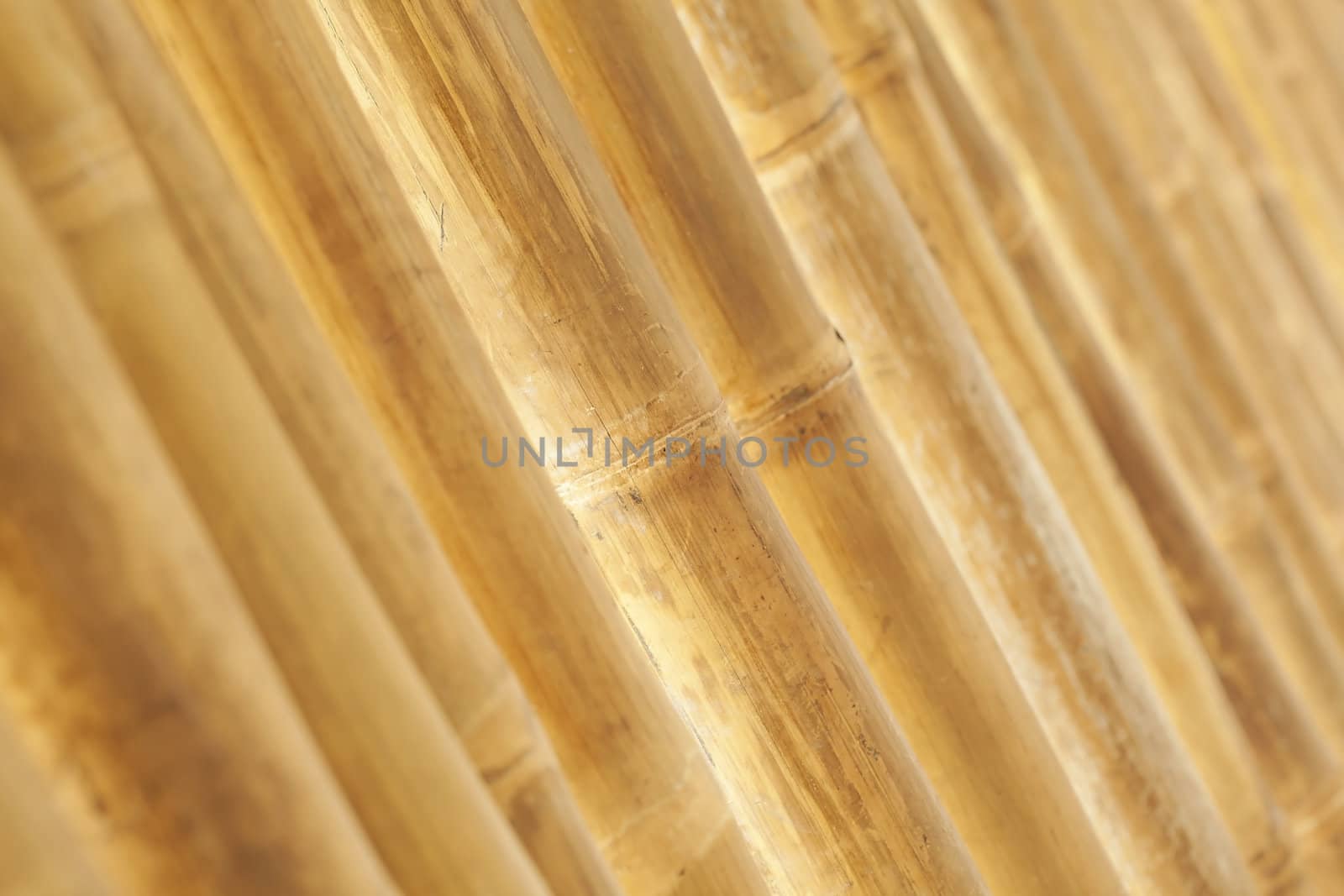 Bamboo wall background