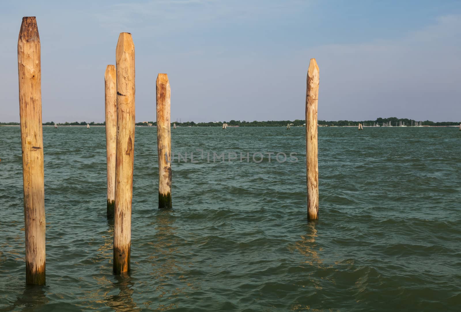 Six wooden poles in a Venetian canal.