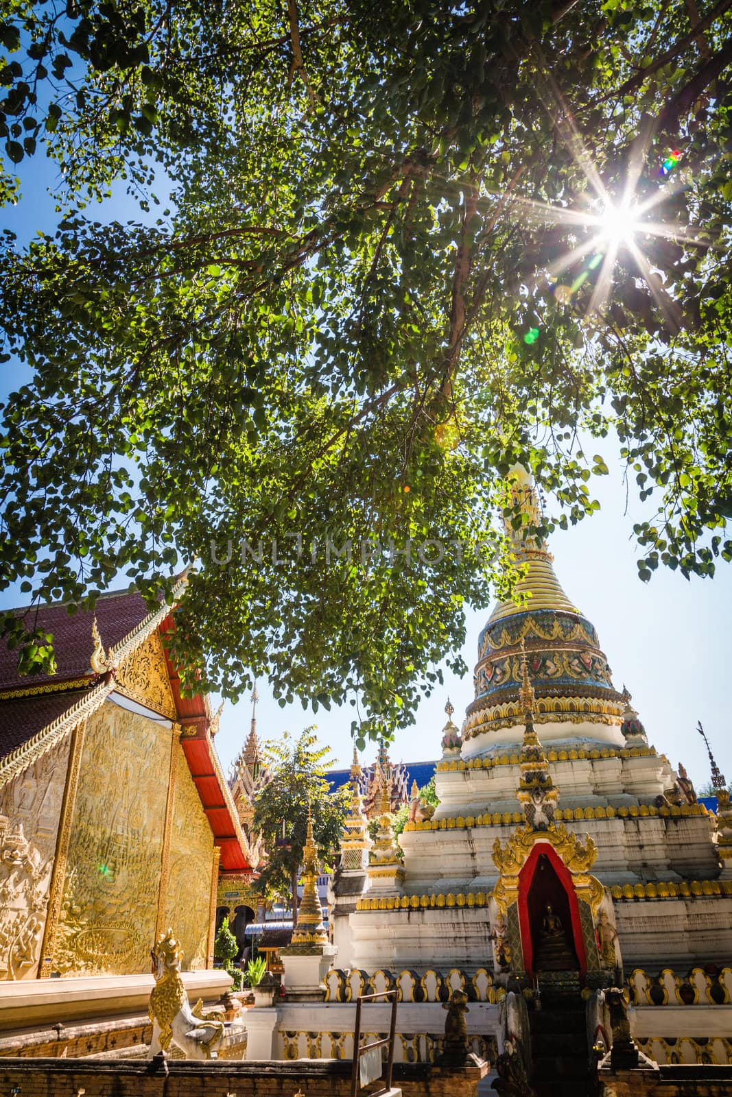 thai temple in chiangmai thailand with tree and sunlight