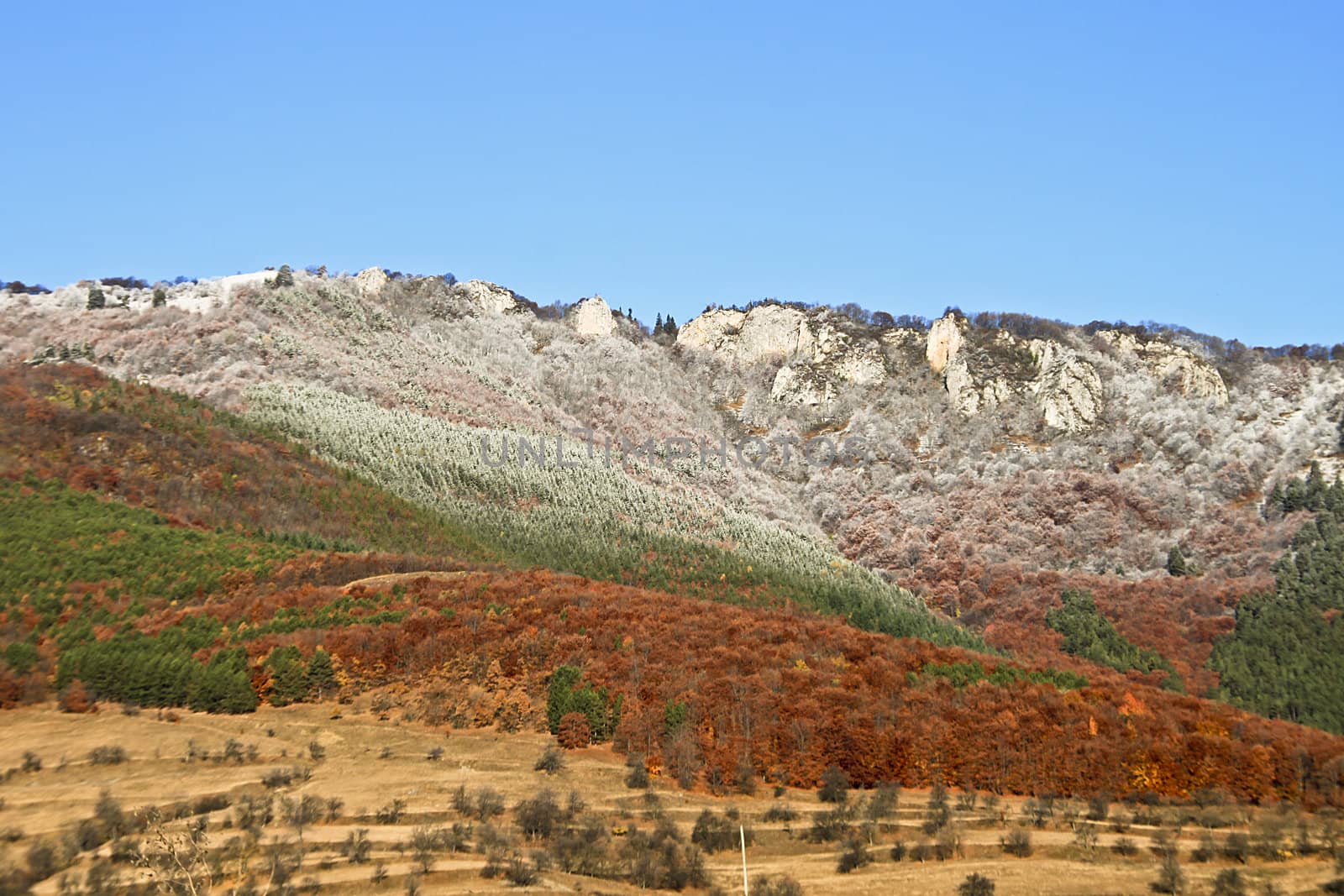 View of Turda Gorges in Transylvania in autumn