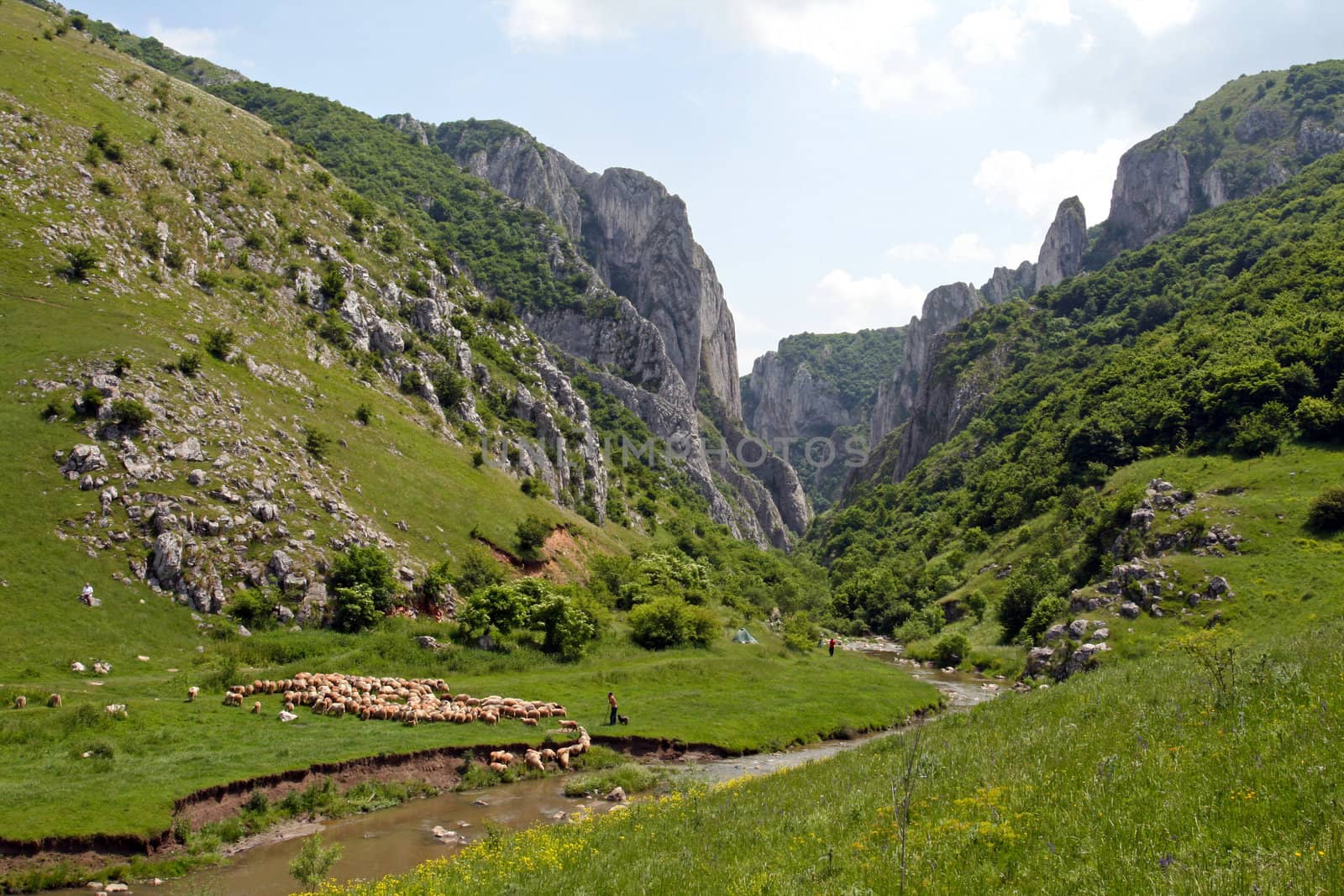 Turda Gorges in Transylvania. 