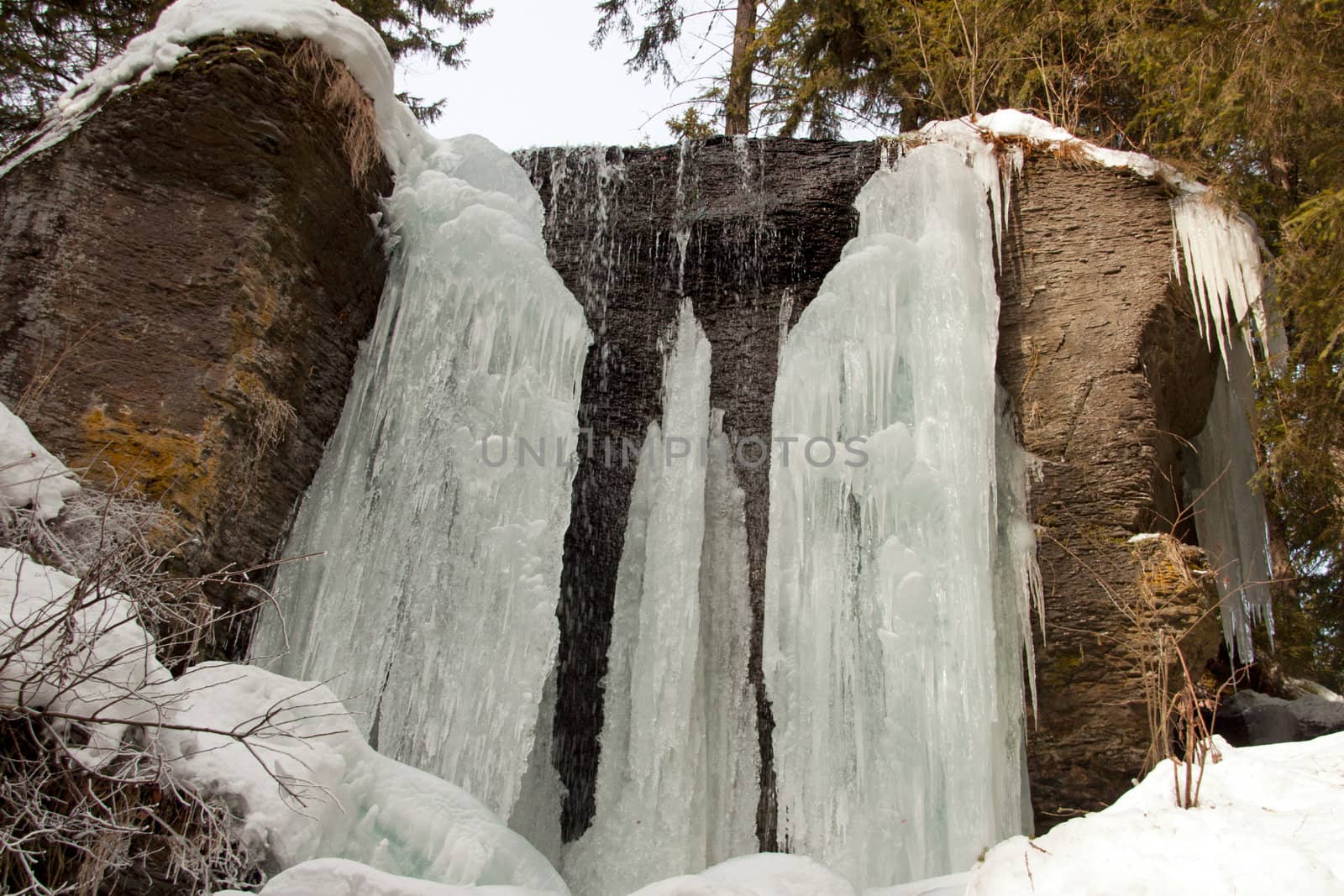 A still, small-sized, frozen waterfall surrounded by pine trees