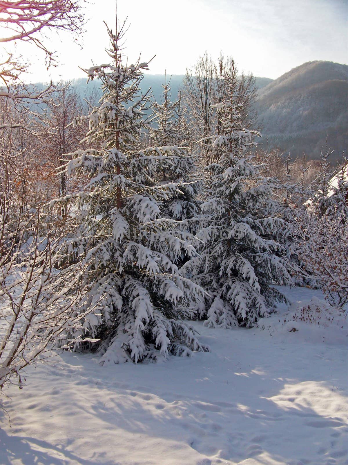 Winter landscape in the mountains by renegadewanderer