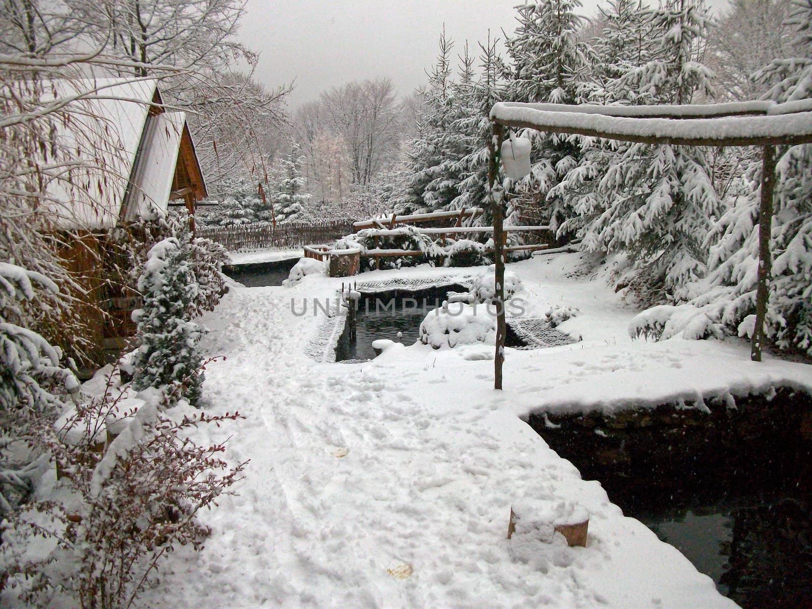 Winter in the garden by renegadewanderer